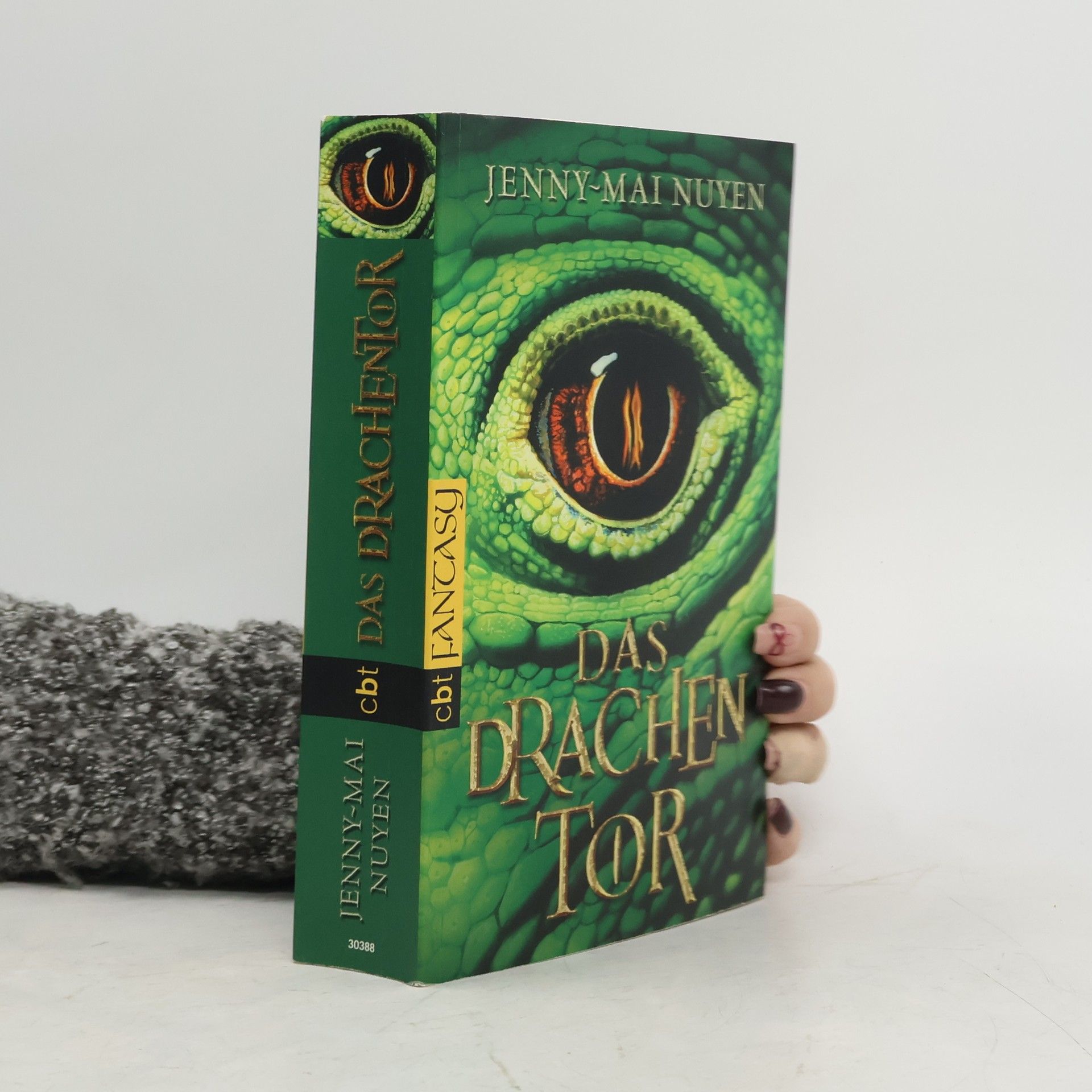 Jenny-Mai Nuyen Das Drachentor