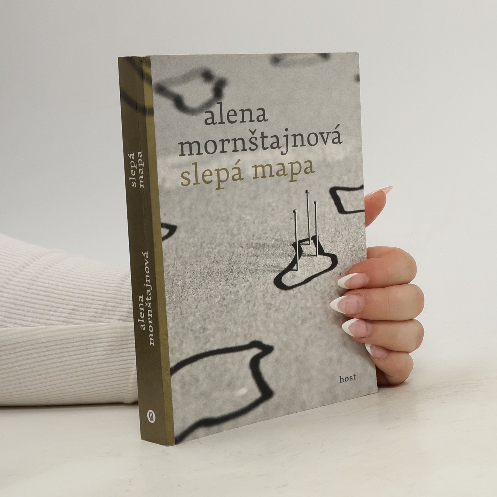 Alena Mornštajnová Slepá mapa