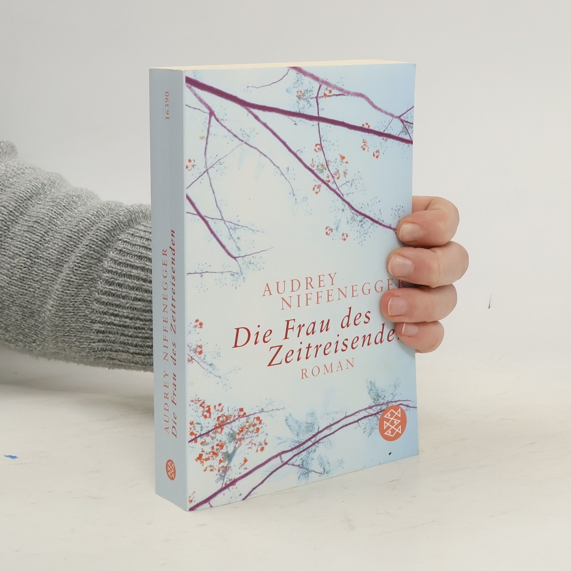 Audrey Niffenegger Die Frau des Zeitreisenden