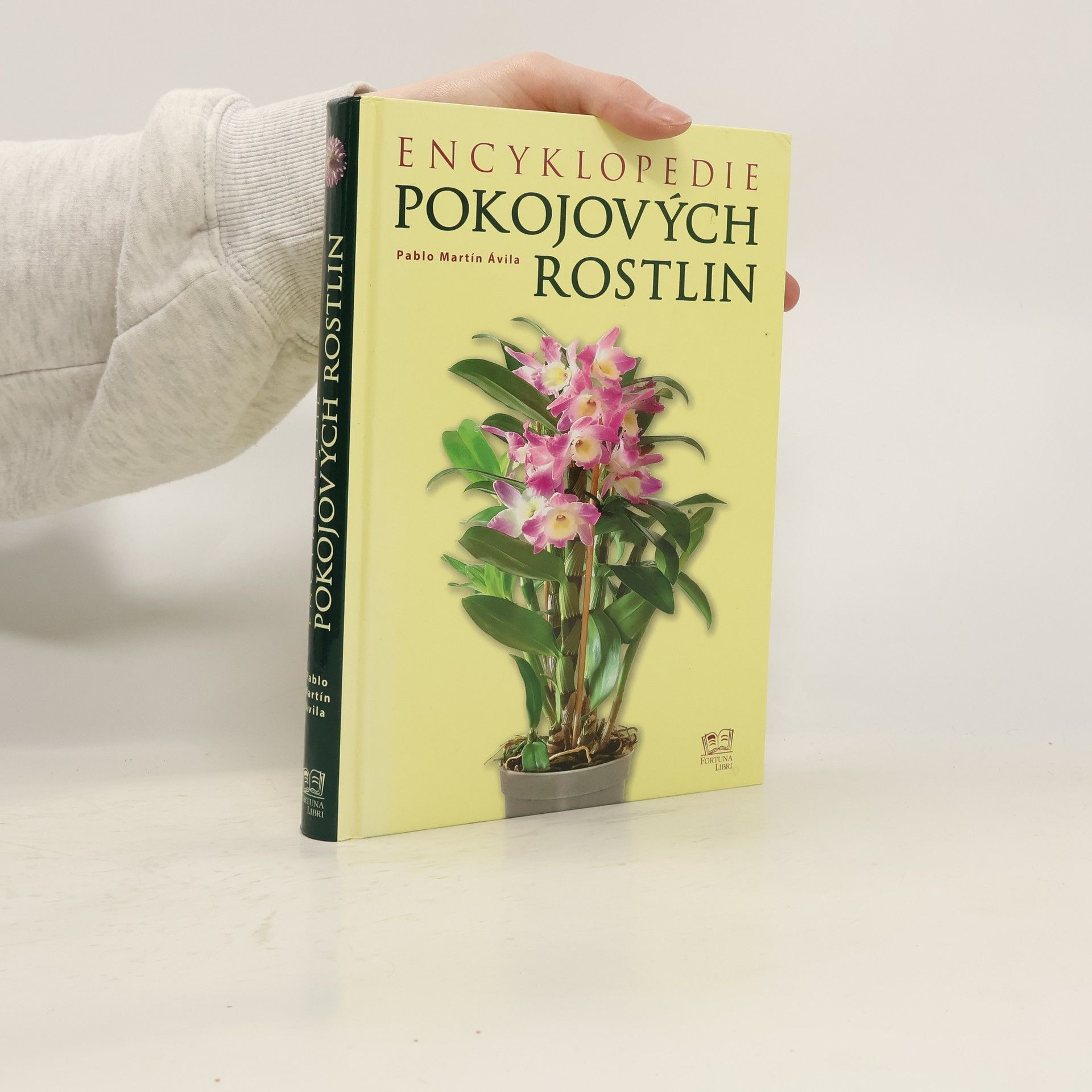 Pablo Martin Avila Encyklopedie pokojových rostlin