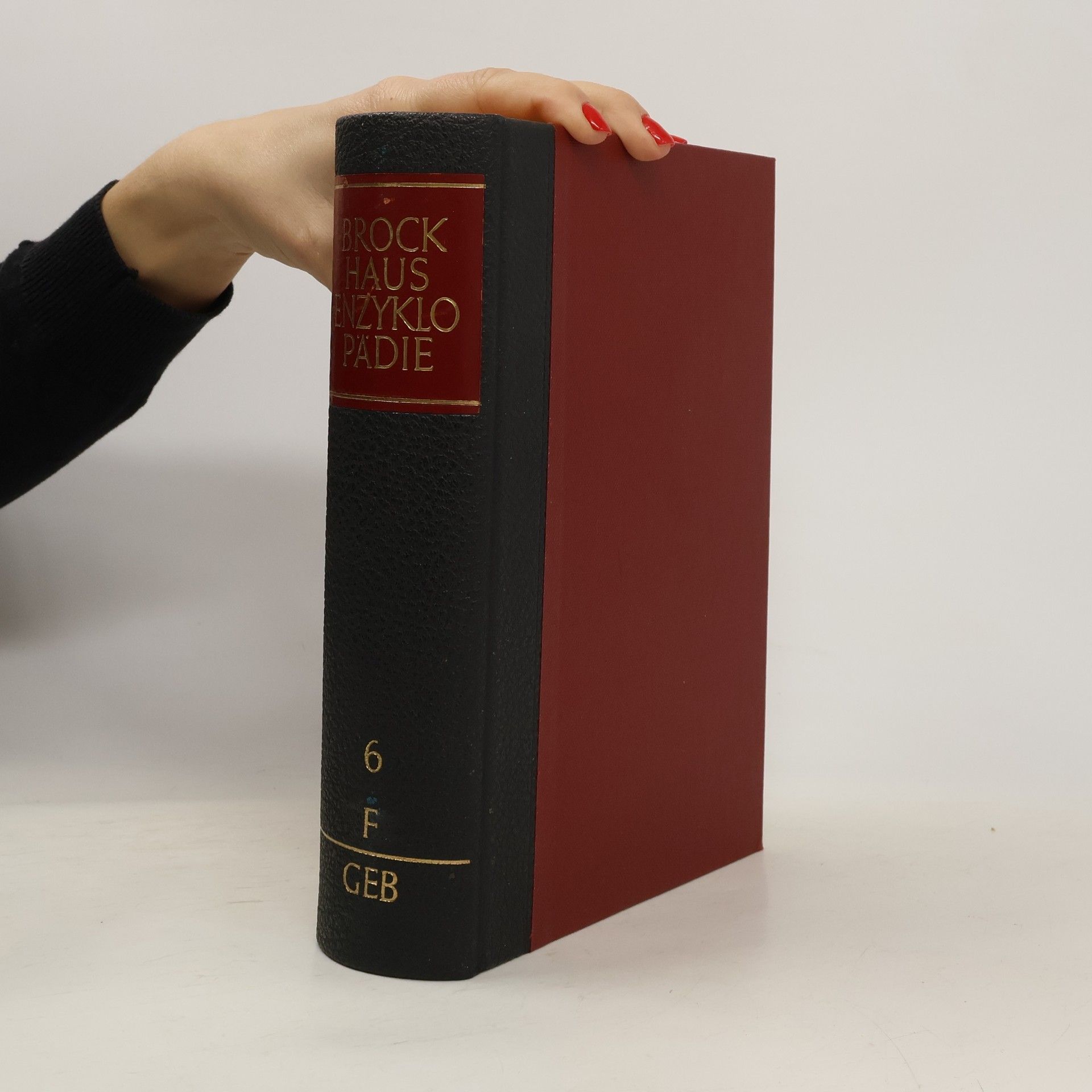 Autorenkollektiv Brockhaus Ezyklopädie 6. F-Geb