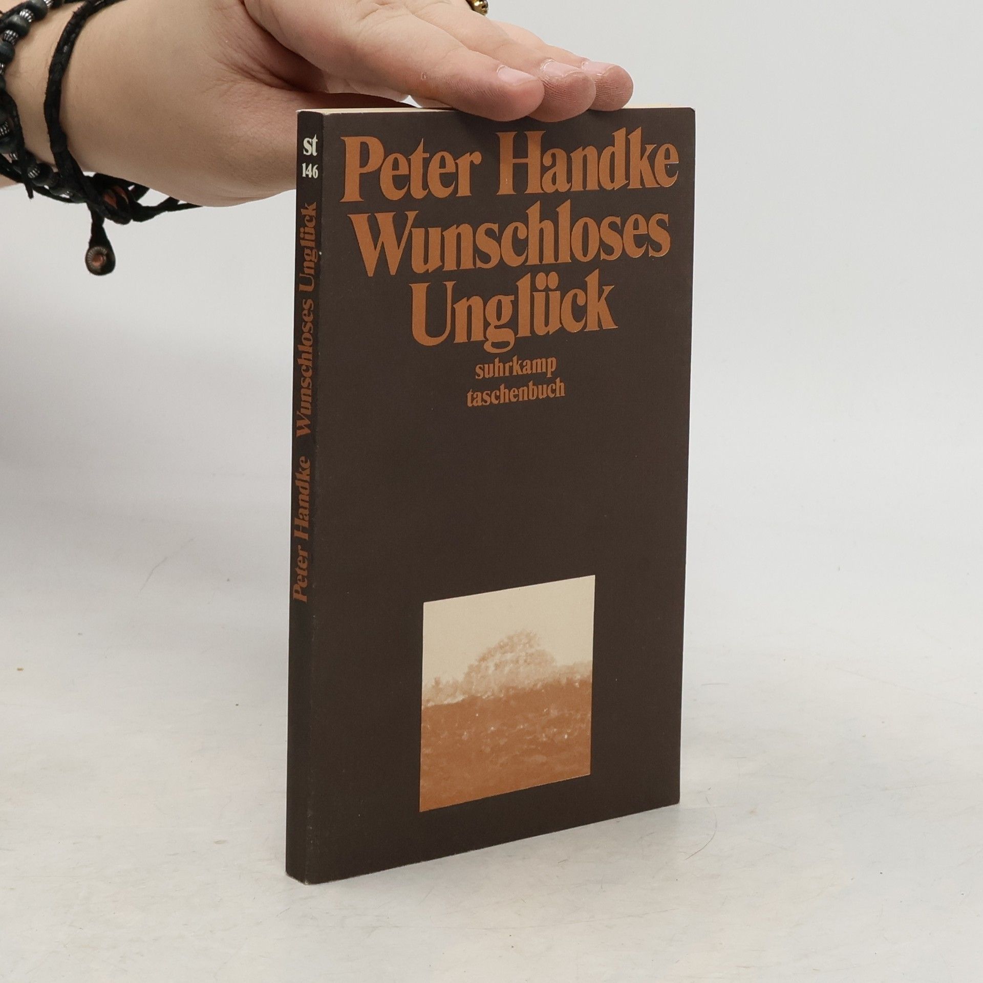 Peter Handke Wunschloses Unglück