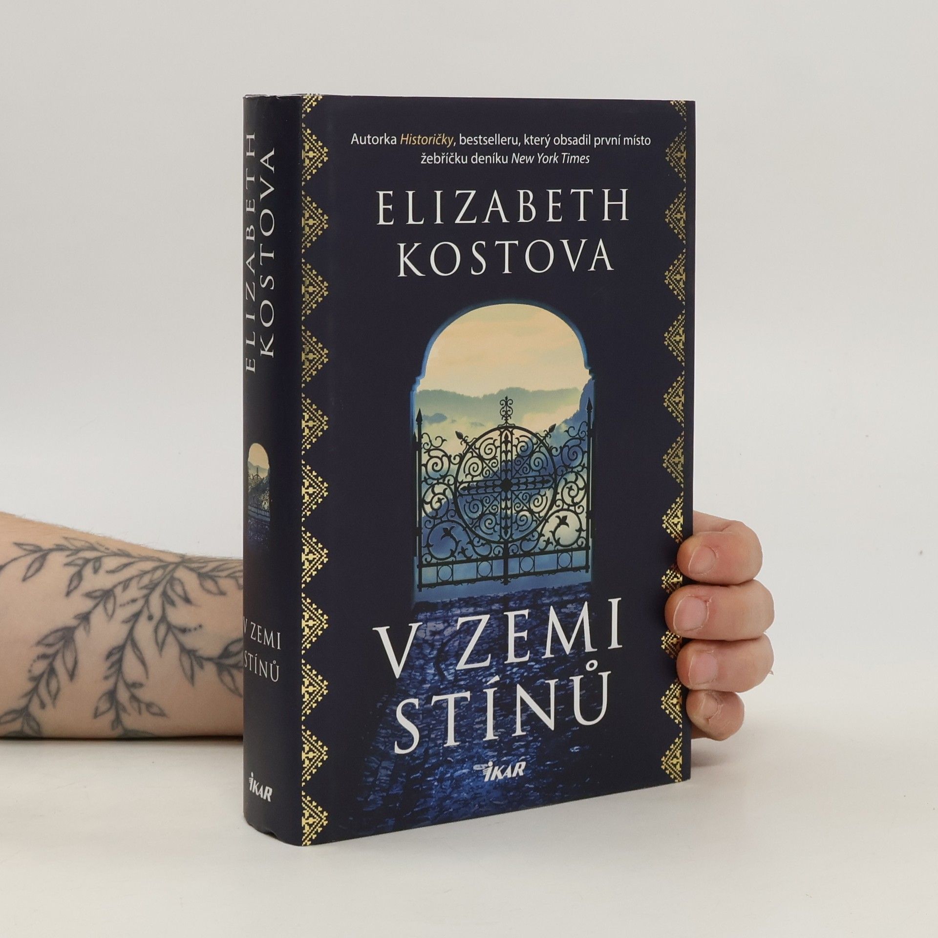 Elizabeth Kostova V zemi stínů