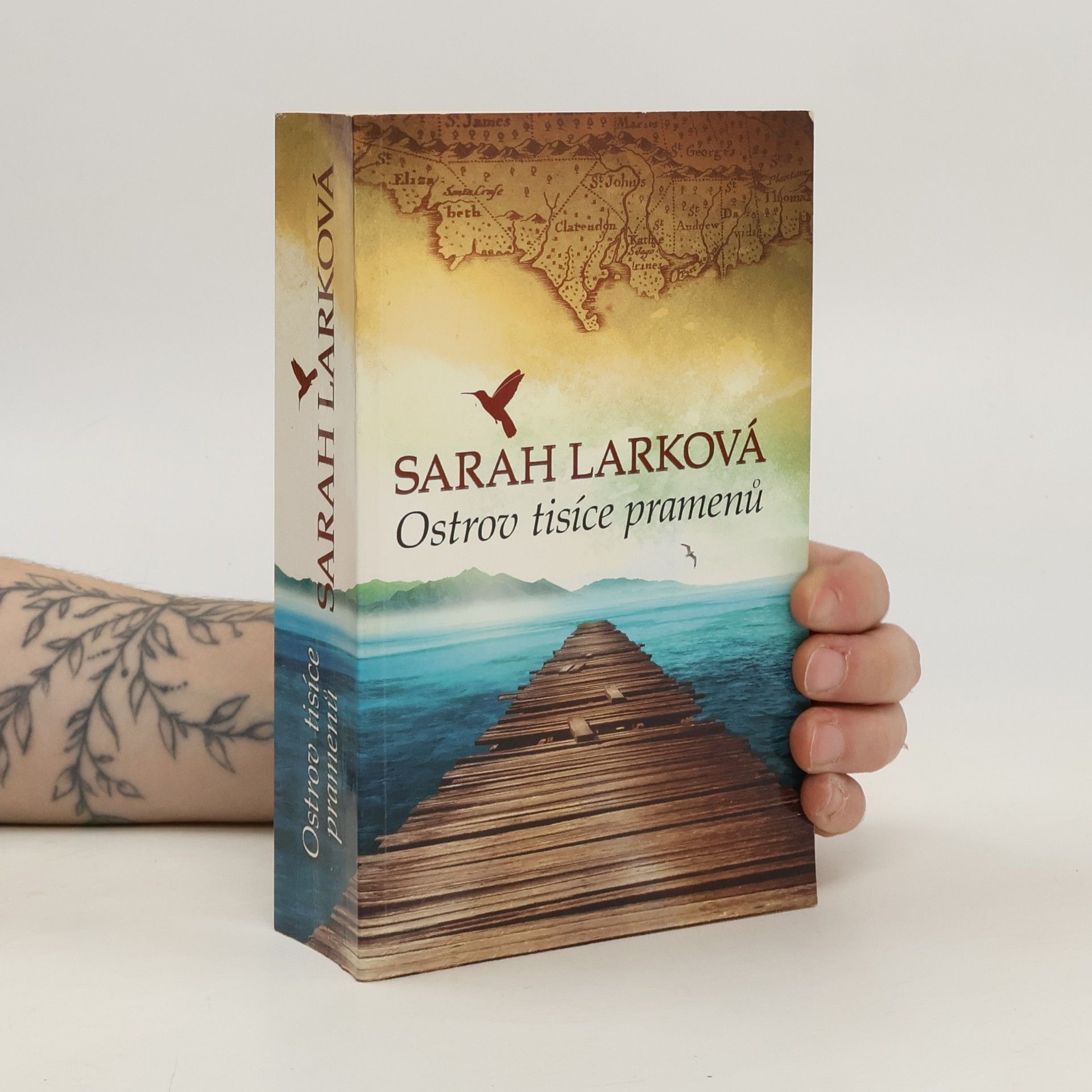 Christiane Gohl Ostrov tisíce pramenů