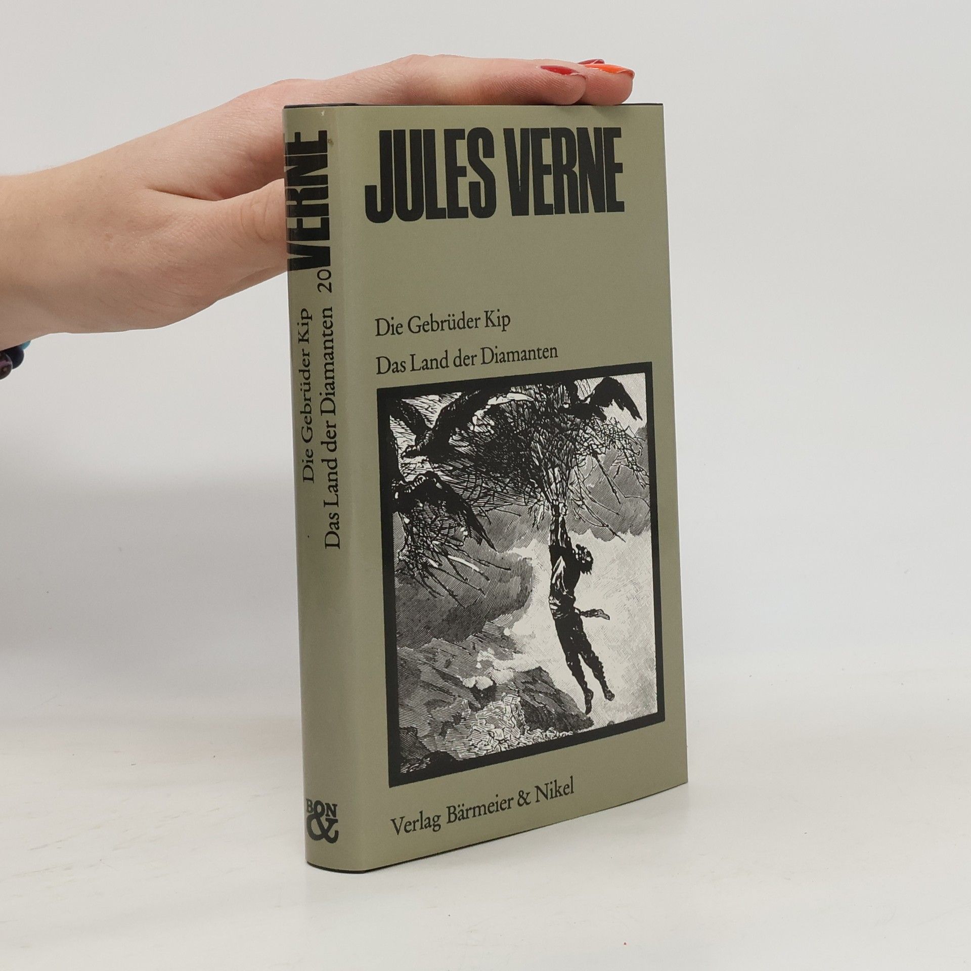 Jules Verne Die Gebrüder Kip. Das Land der Diamanten