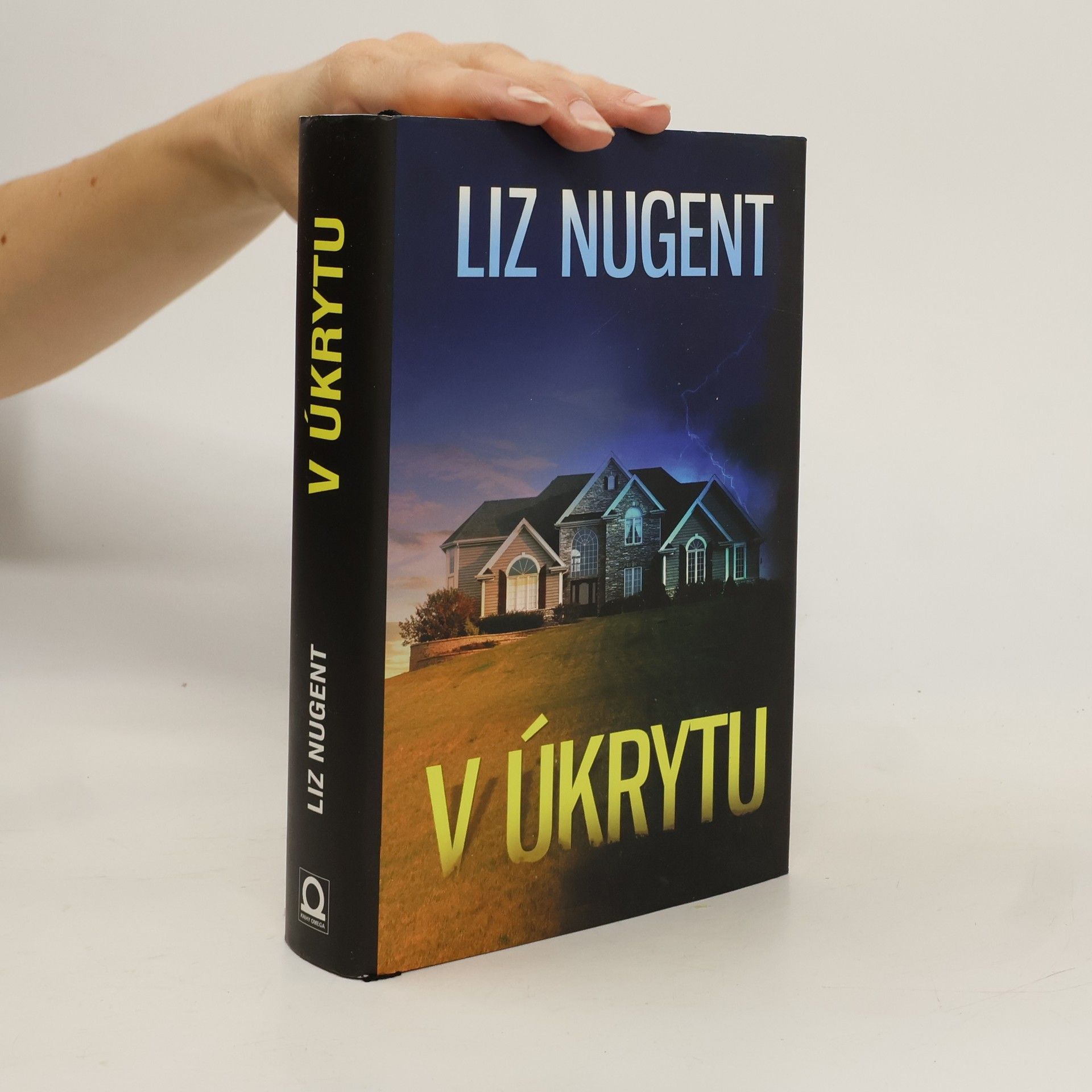 Liz Nugent V úkrytu