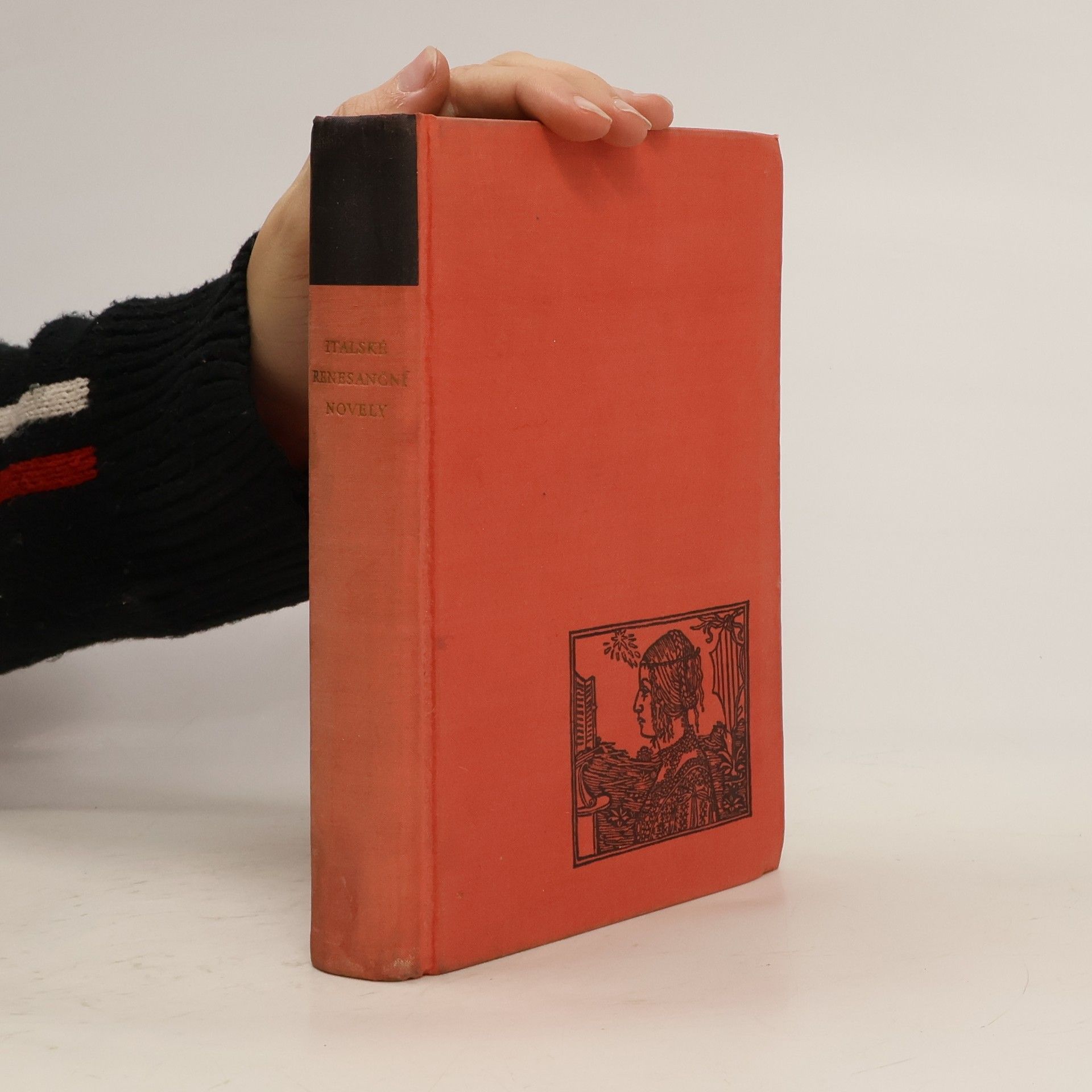 Autorenkollektiv Italské renesanční novely