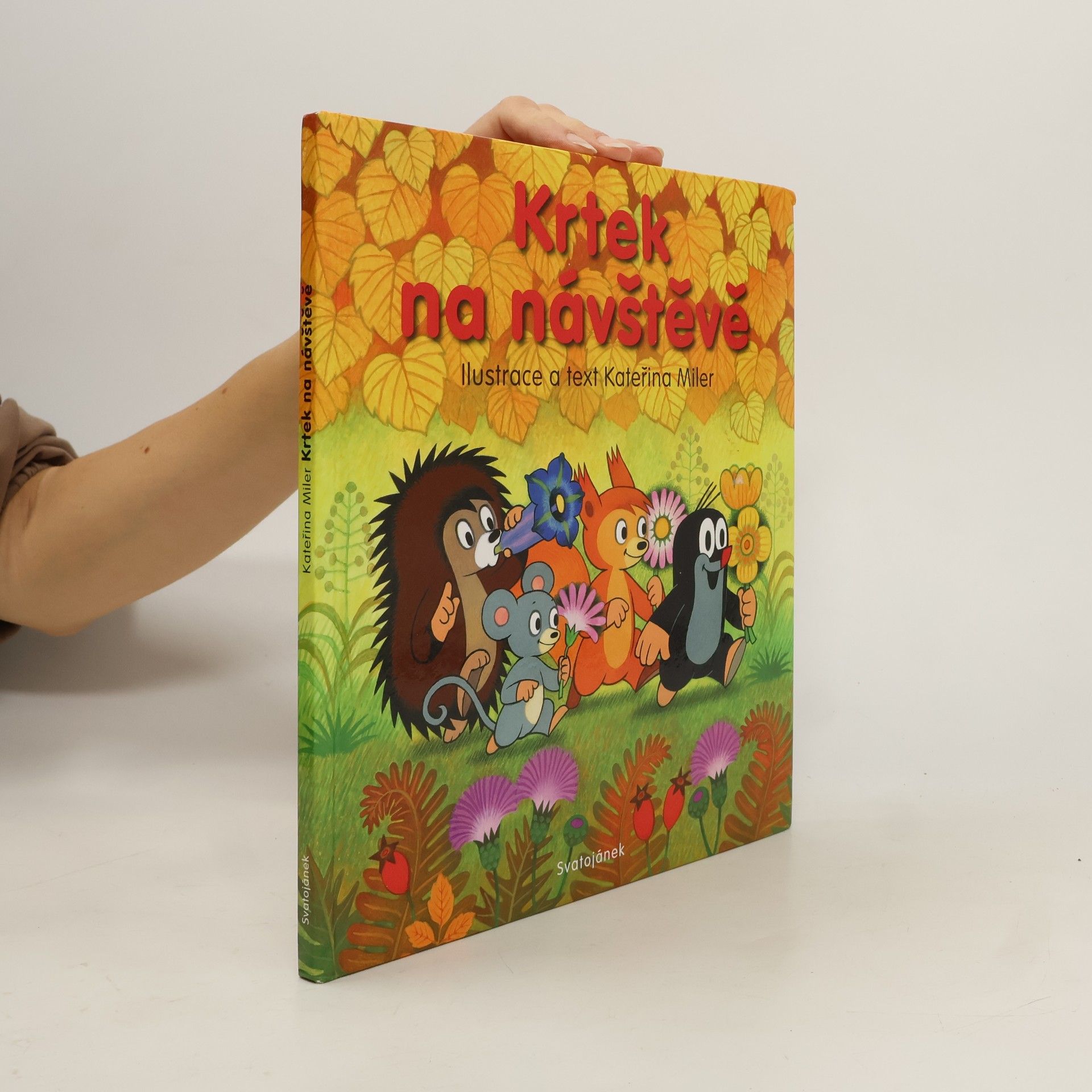 Kateřina Lovis Miler Krtek na návštěvě