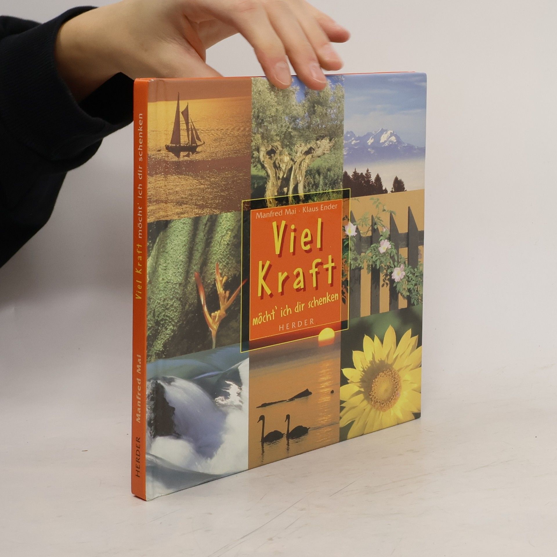 Manfred Mai Viel Kraft möcht' ich dir schenken