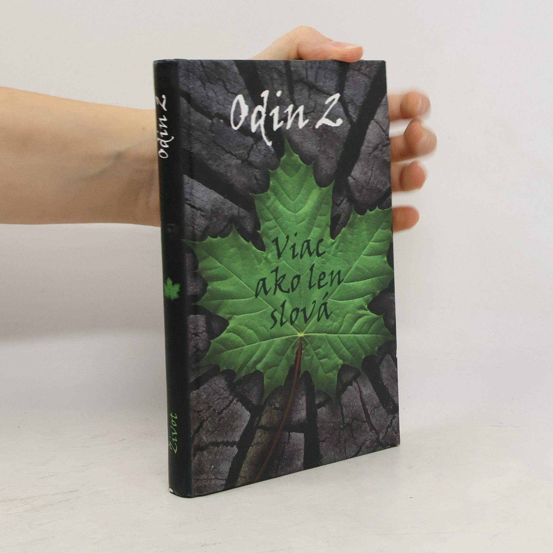 * antologie Viac ako len slová