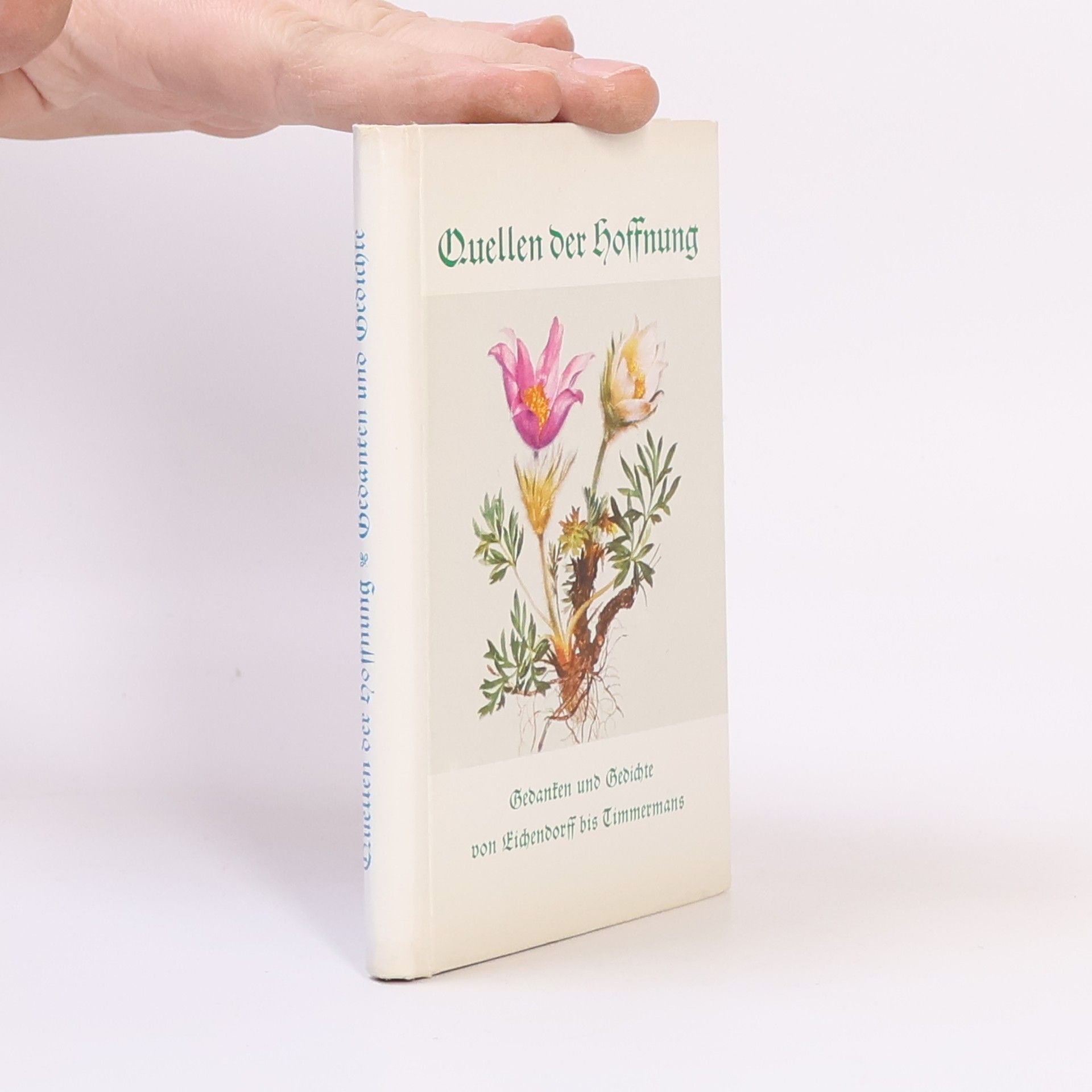 Clemens Brentano Quellen der Hoffnung: Gedanken und Gedichte von Eichendorff bis Timmermans