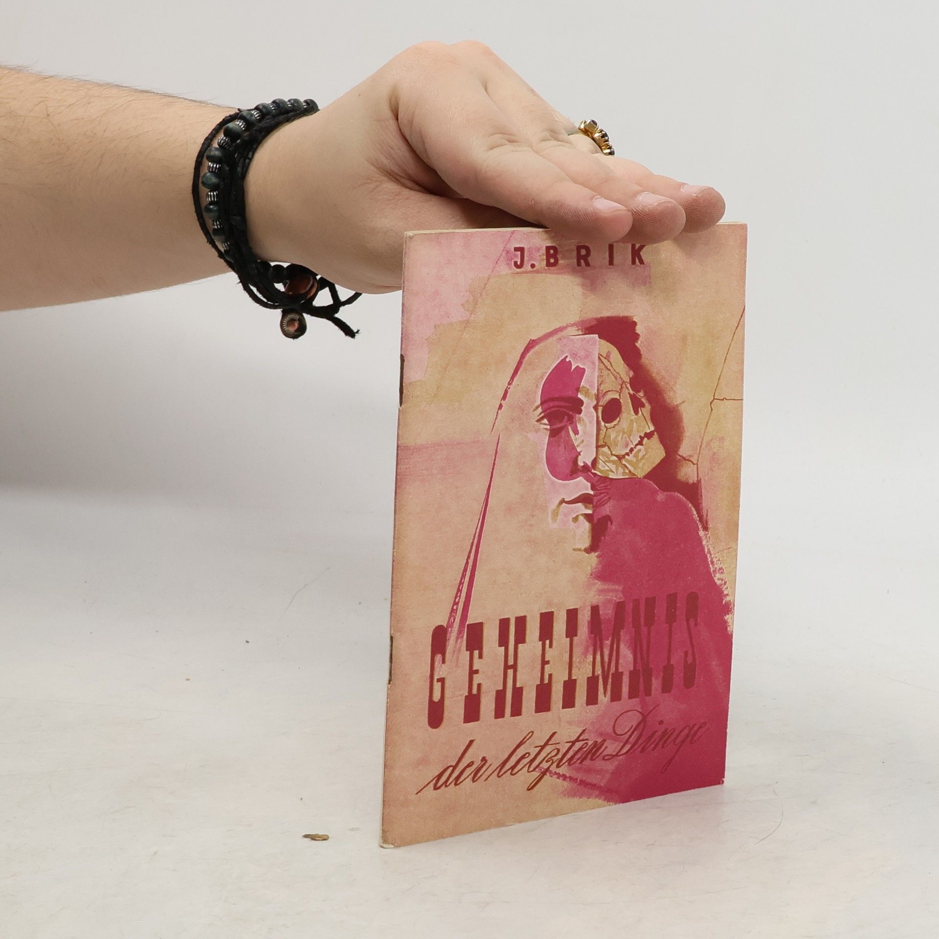 Johannes Brik Das Geheimnis der letzten Dinge