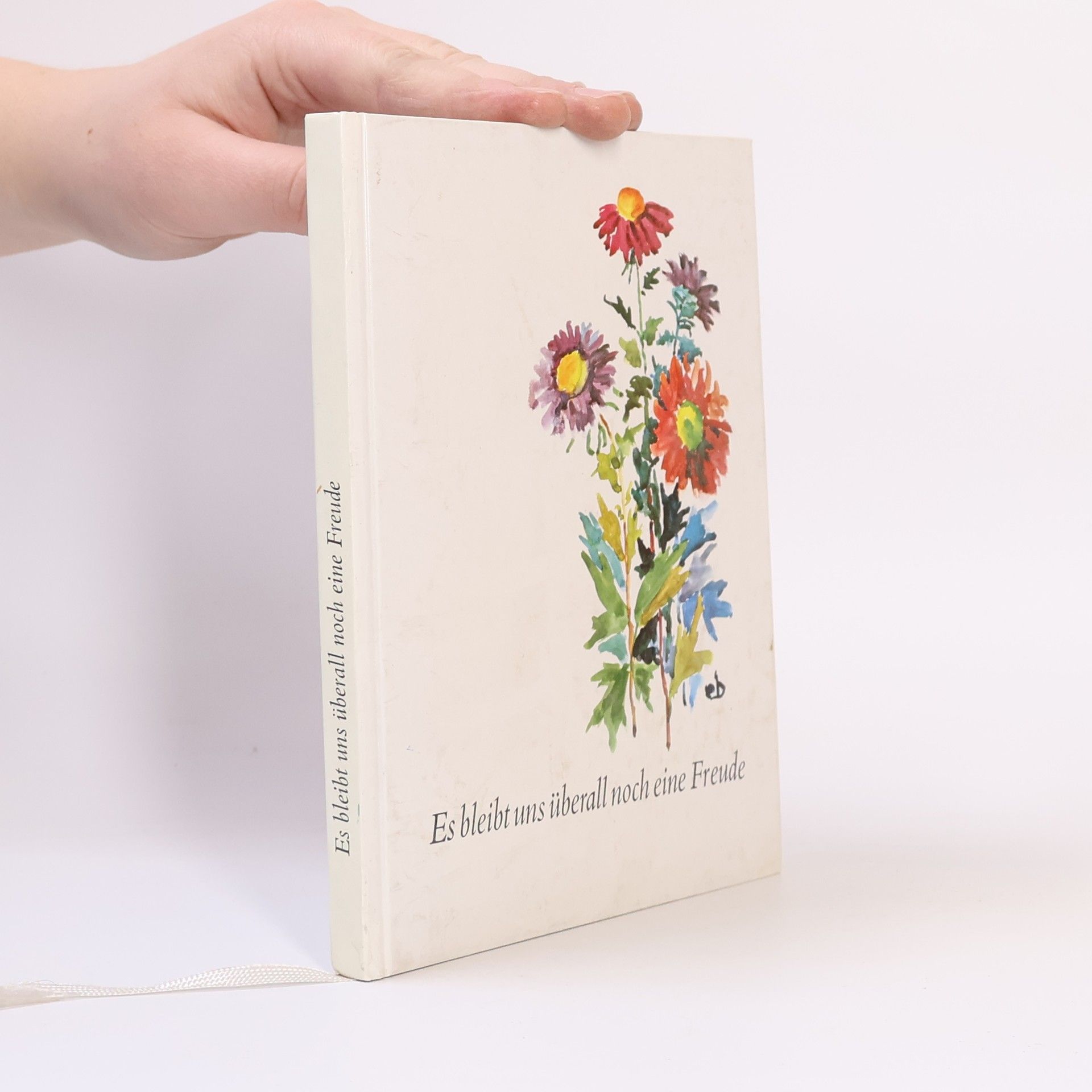 AA.VV. Es bleibt uns überall noch eine Freude