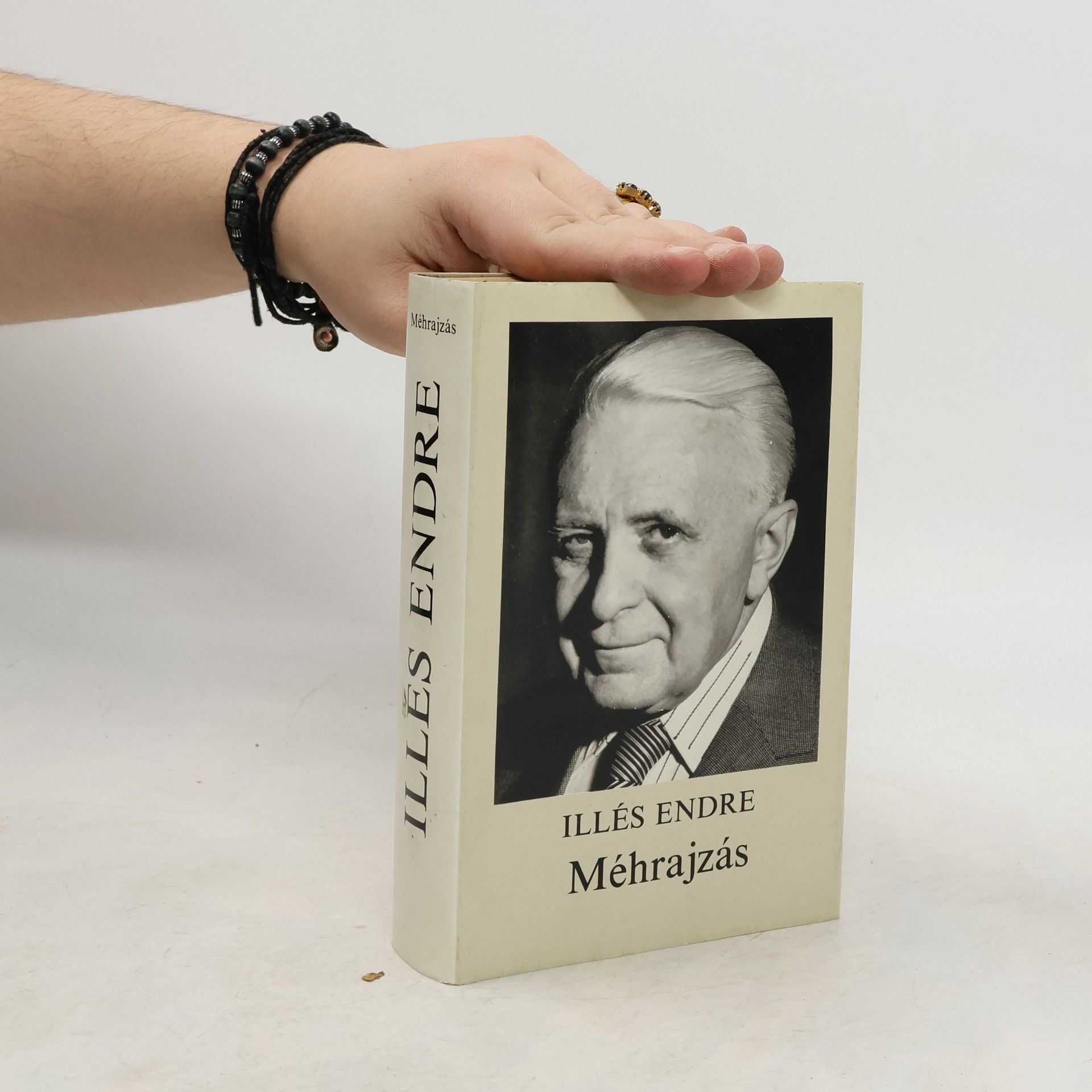 Illés Endre Méhrajzás