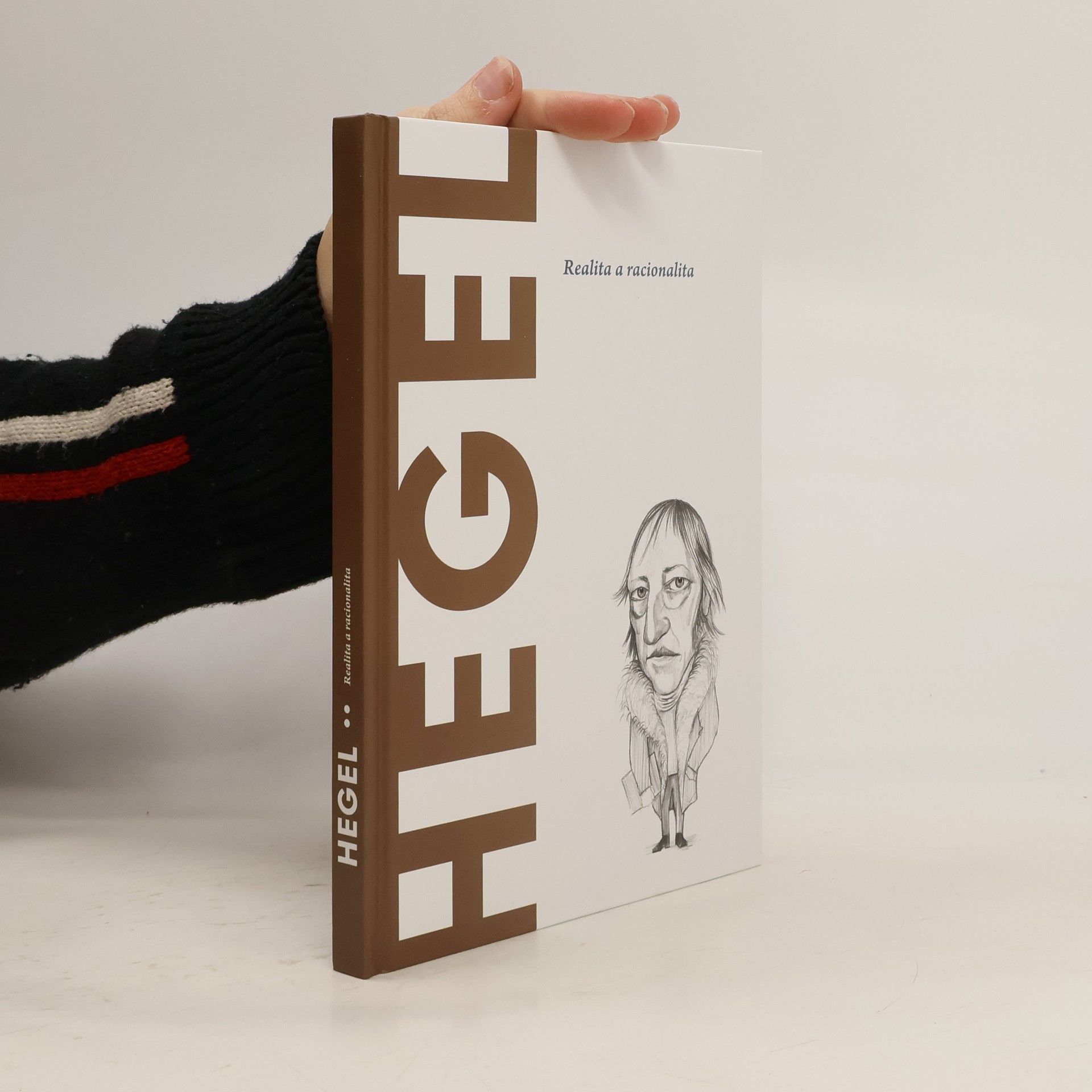 Kolektiv autorů Hegel. Realita a Racionalita