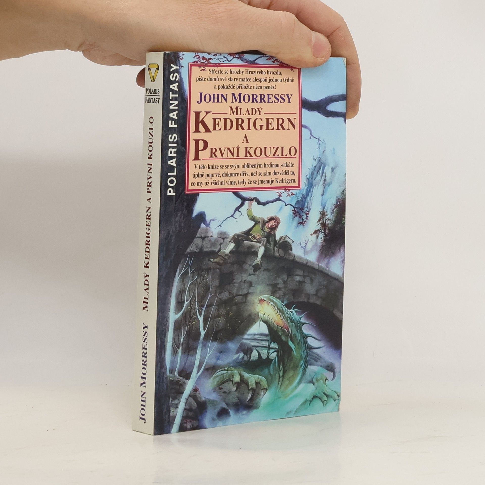 Mladý Kedrigern a první kouzlo