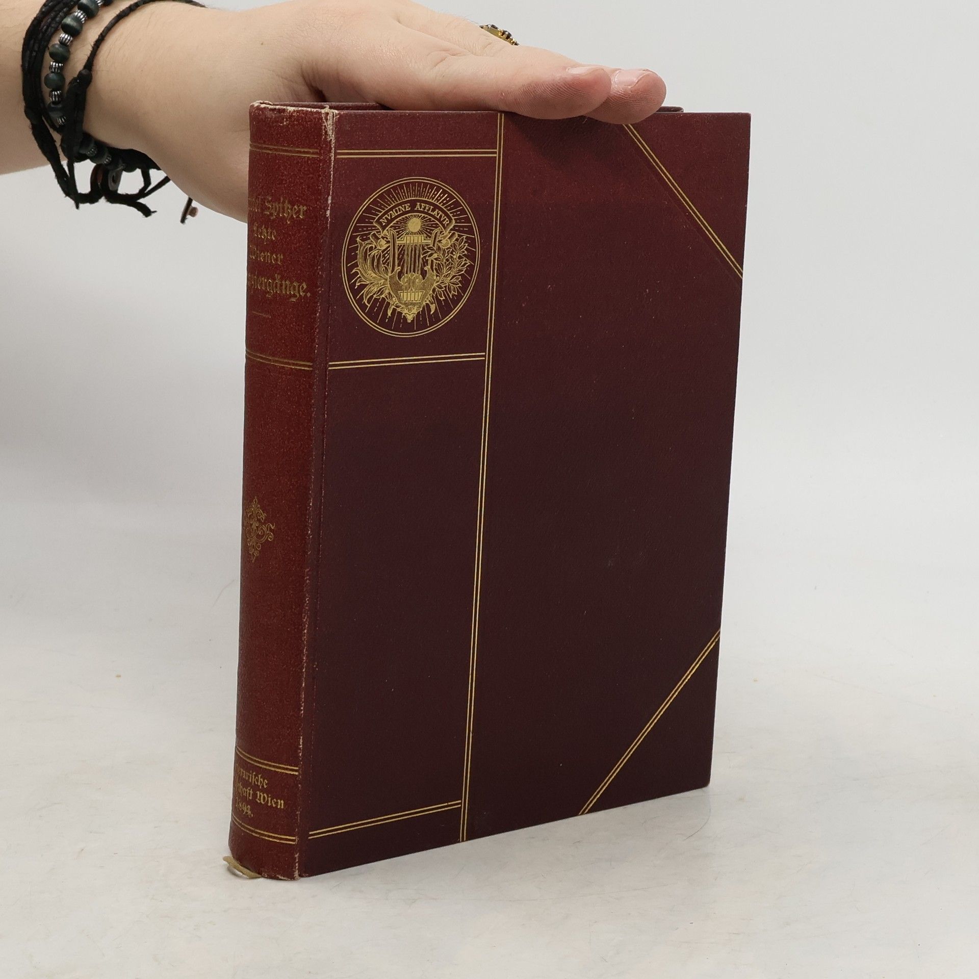 Letzte Wiener Spaziergänge