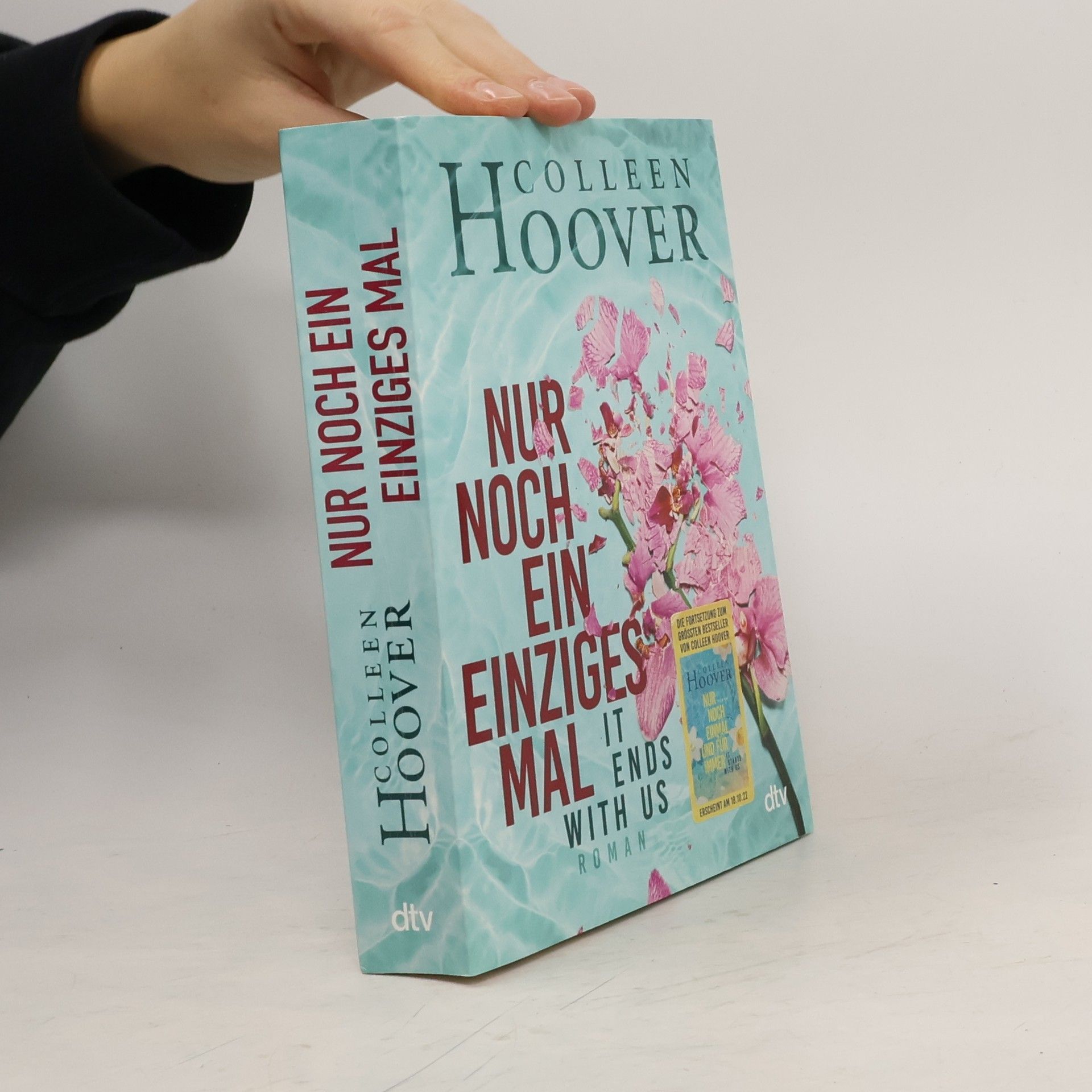 Colleen Hoover Nur noch ein einziges Mal