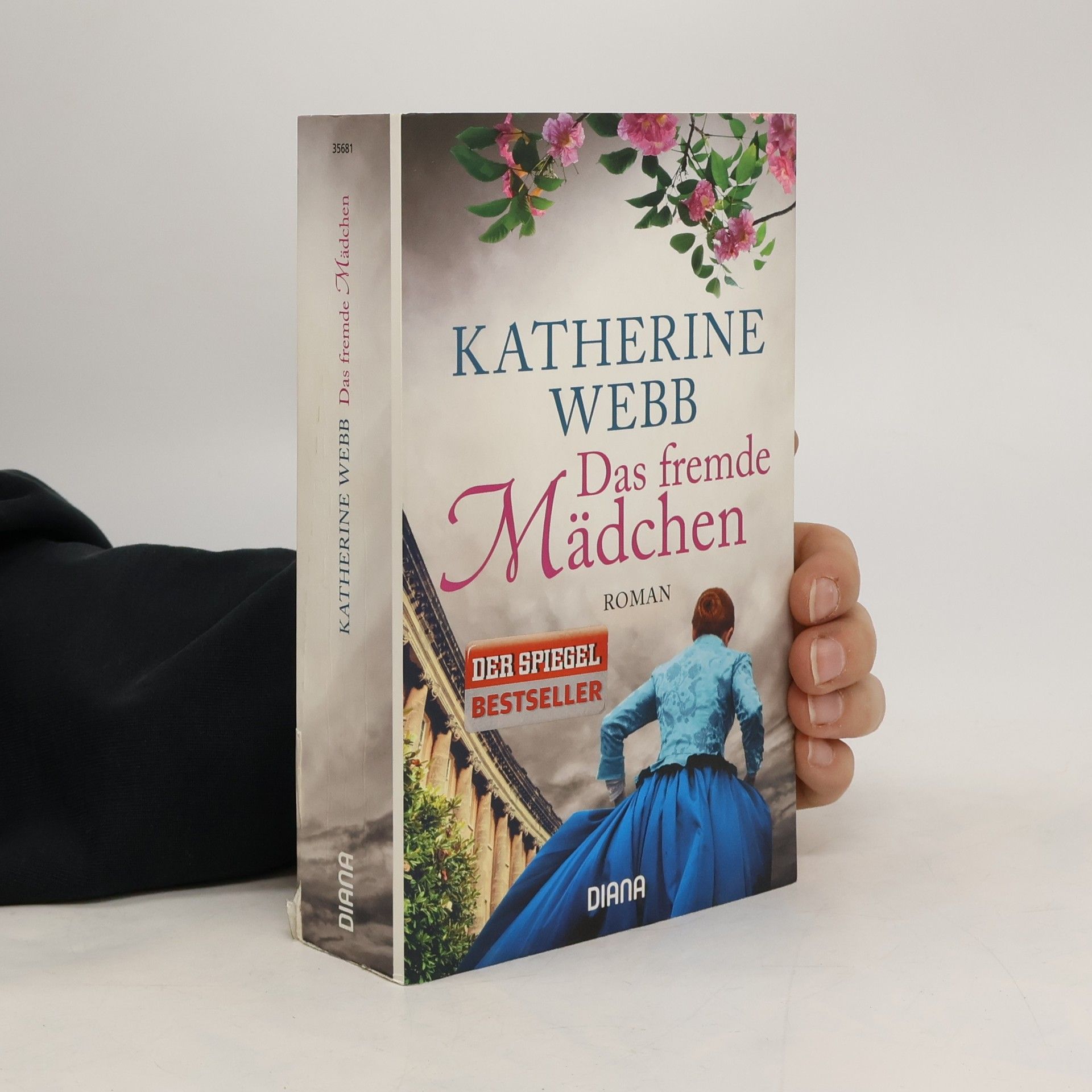 Katherine Webb Das fremde Mädchen
