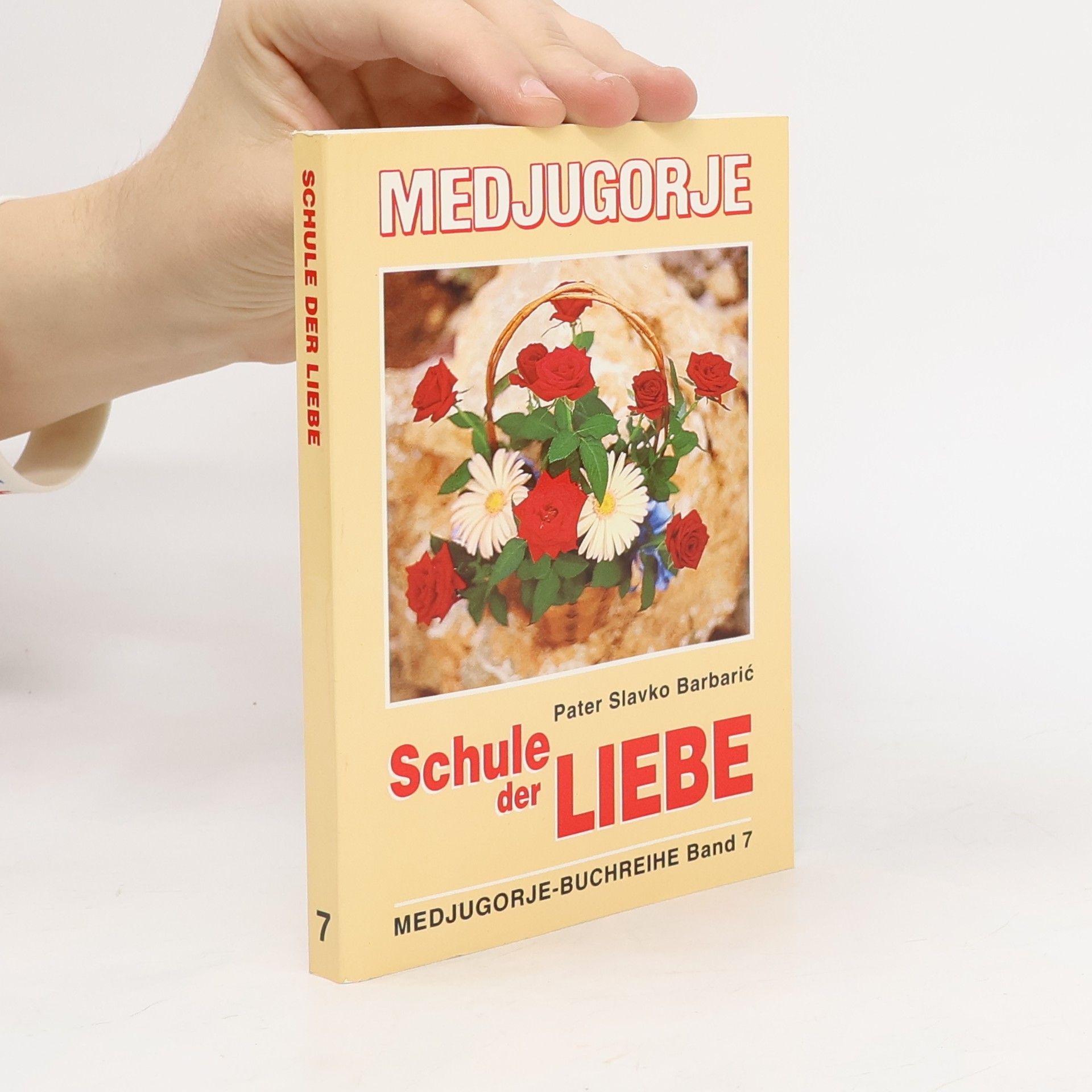 Medjugorje-Buchreihe - 7: Schule der Liebe
