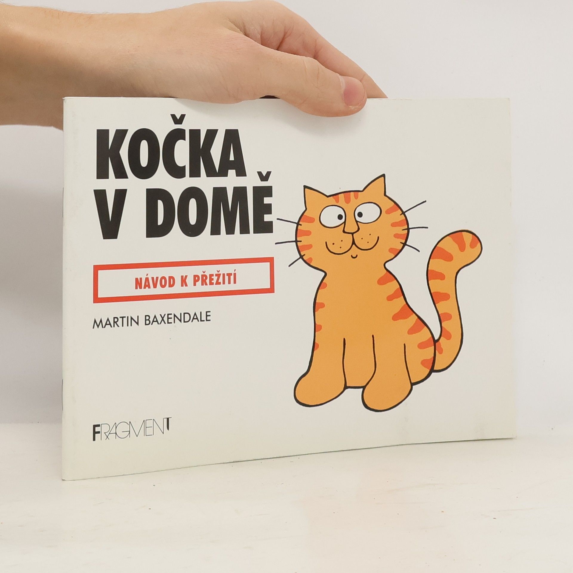Kočka v domě - návod na přežití