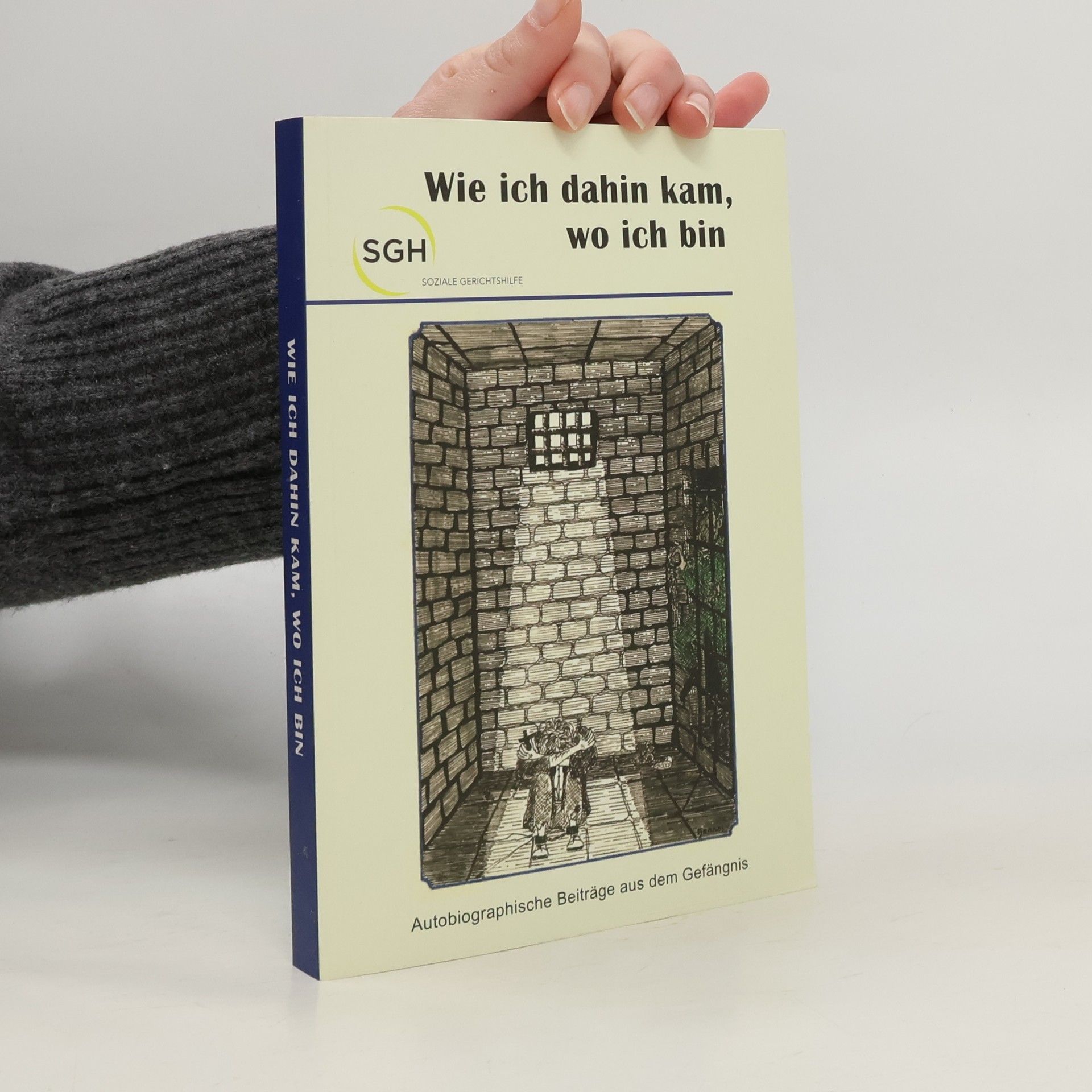 Autorenkollektiv Wie ich dahin kam, wo ich bin