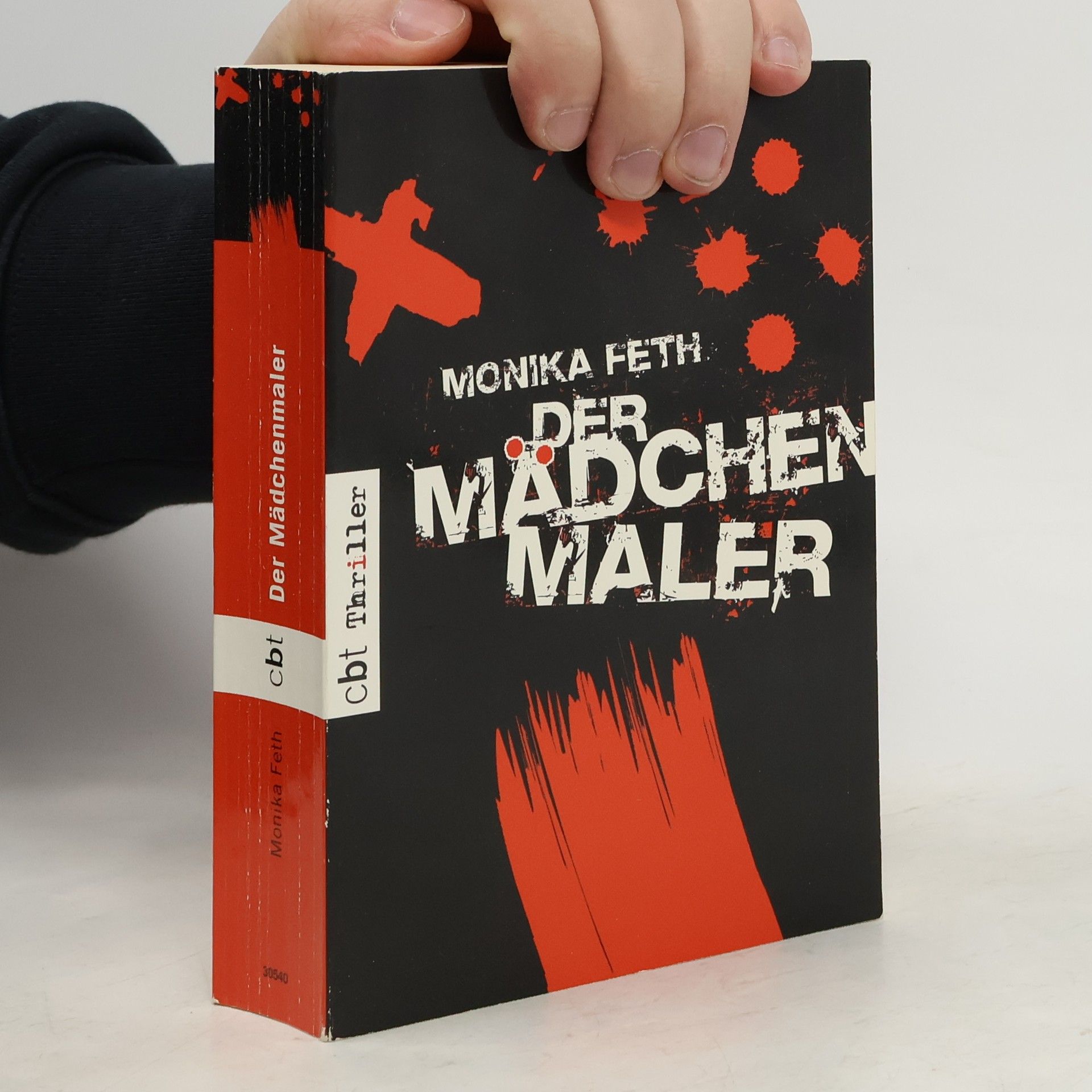 Monika Feth Der Mädchenmaler