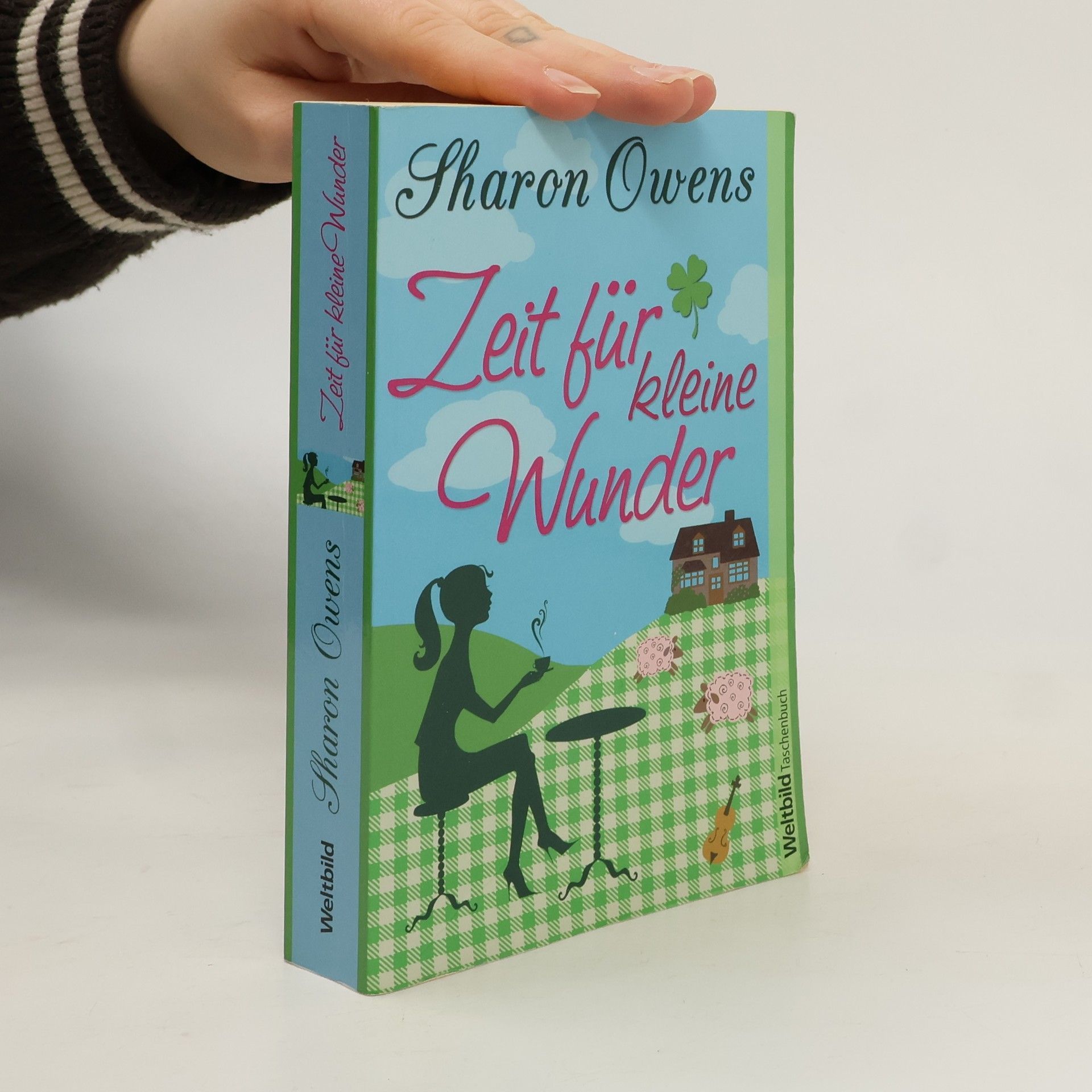 Sharon Owens Zeit für kleine Wunder