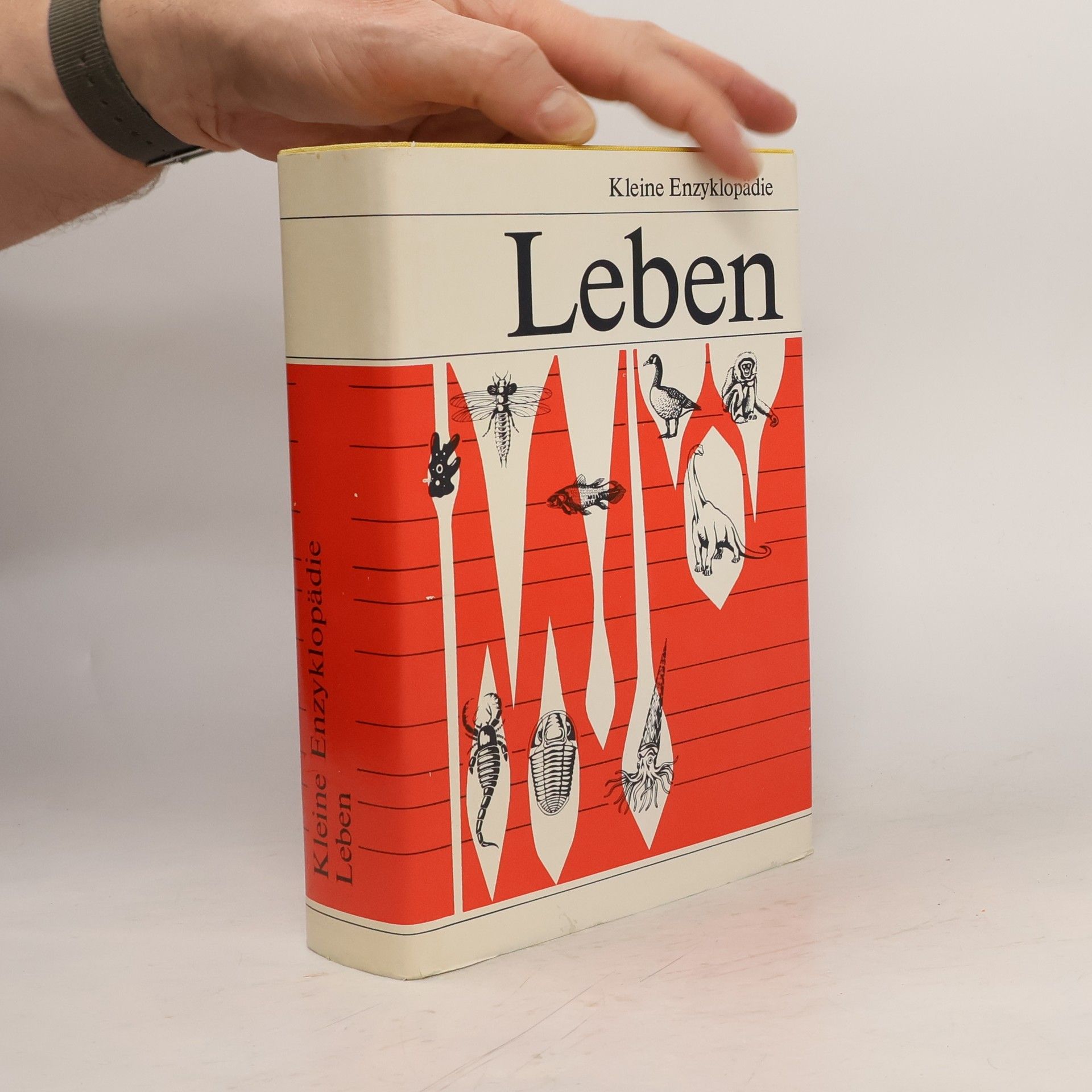 Kolektiv autorů Kleine Enzyklopädie Leben