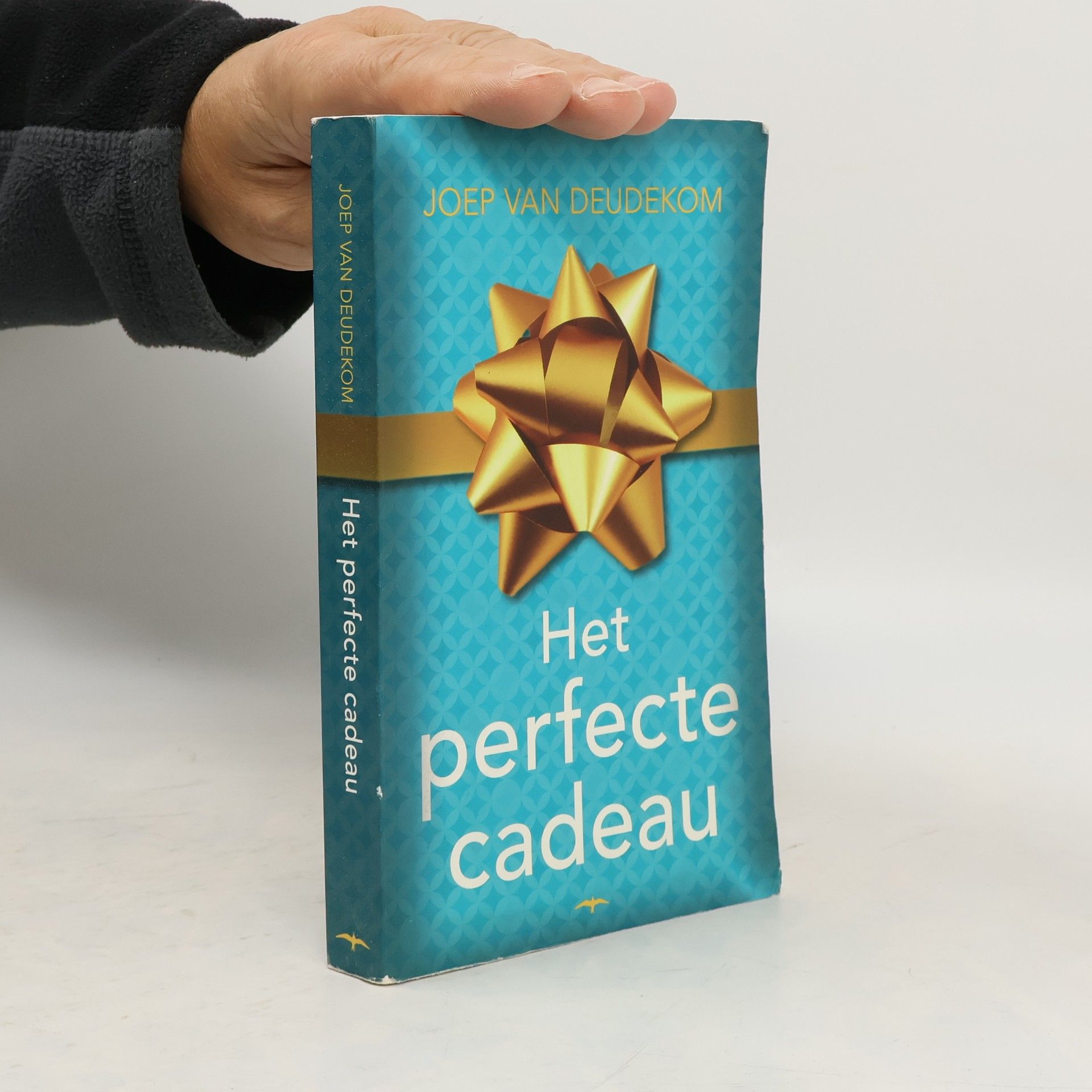 Joep van Deudekom Het perfecte cadeau