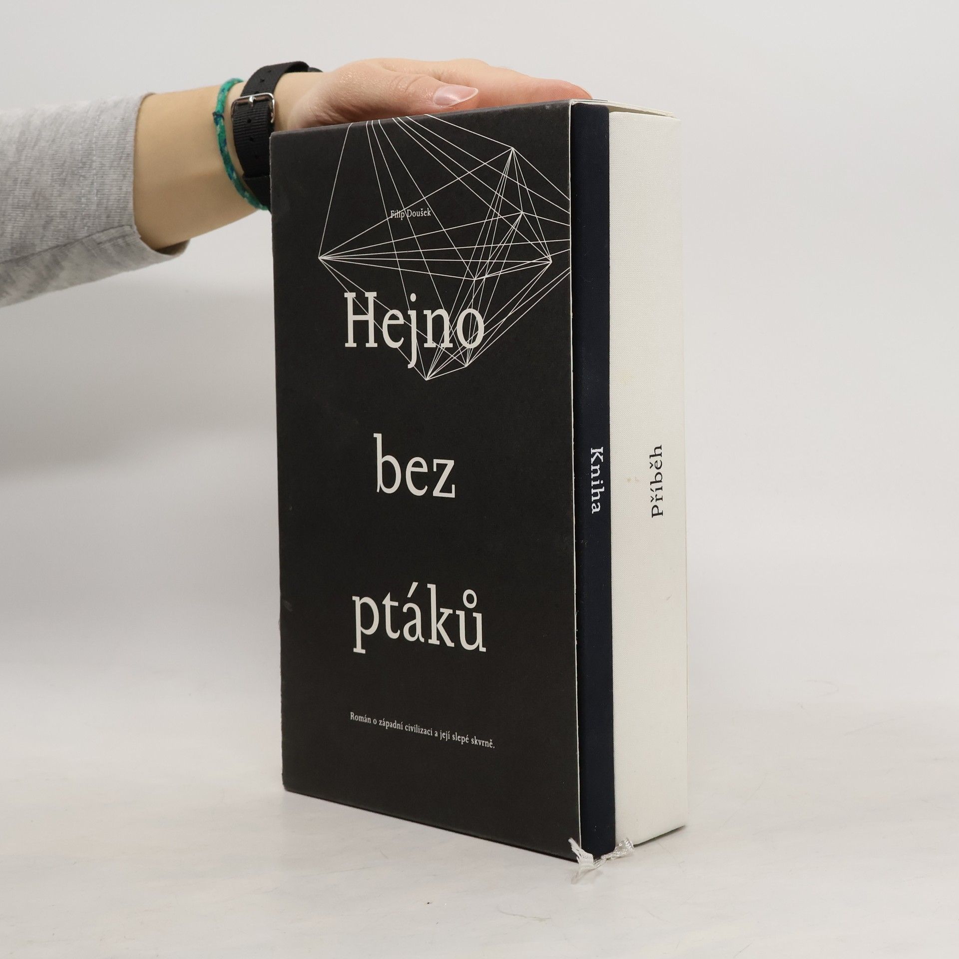 Filip Doušek Hejno bez ptáků
