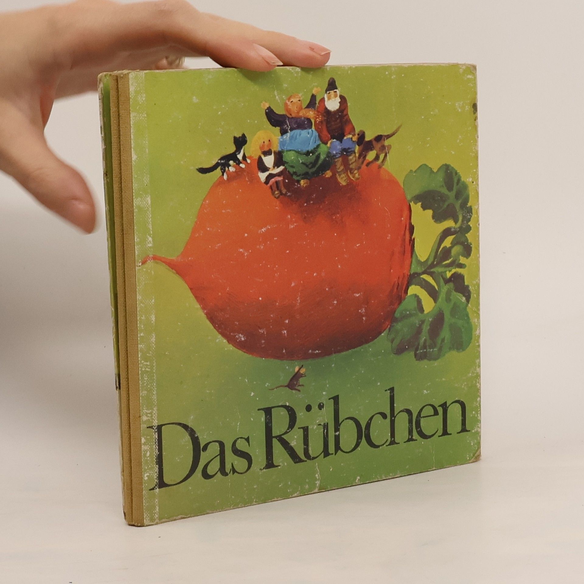 Autorenkollektiv Das Rübchen