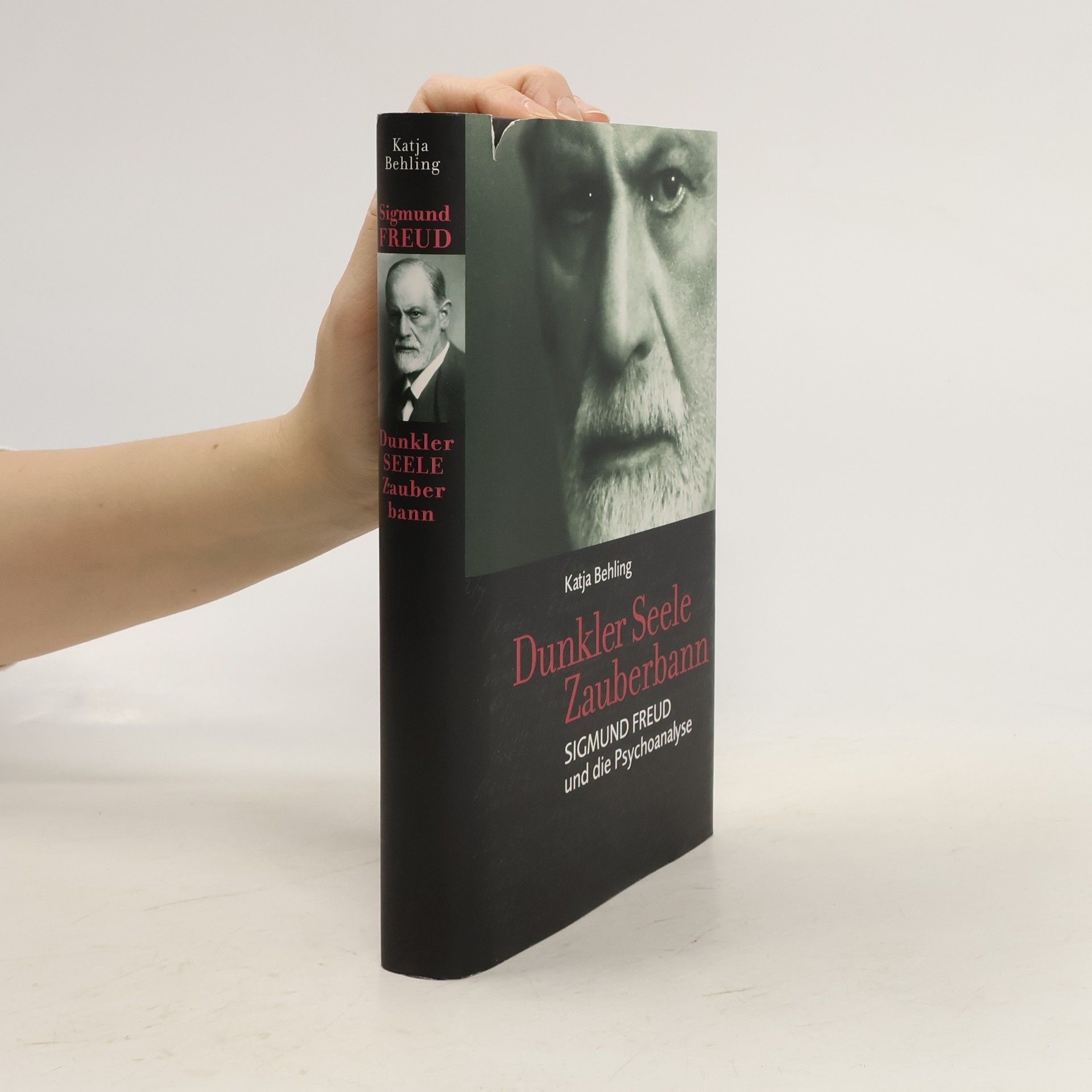 Dunkler Seele Zauberbann