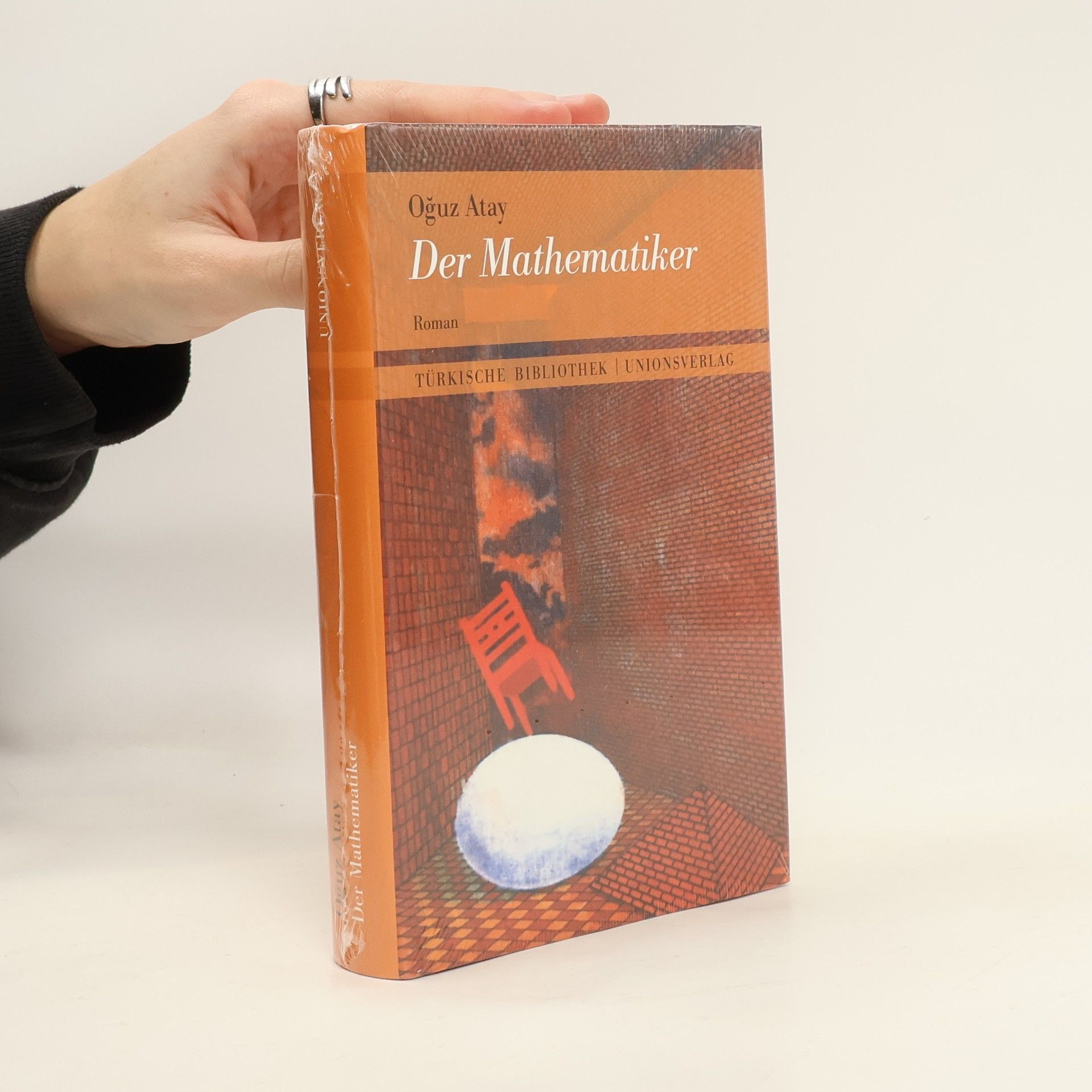 Oğuz Atay Der Mathematiker