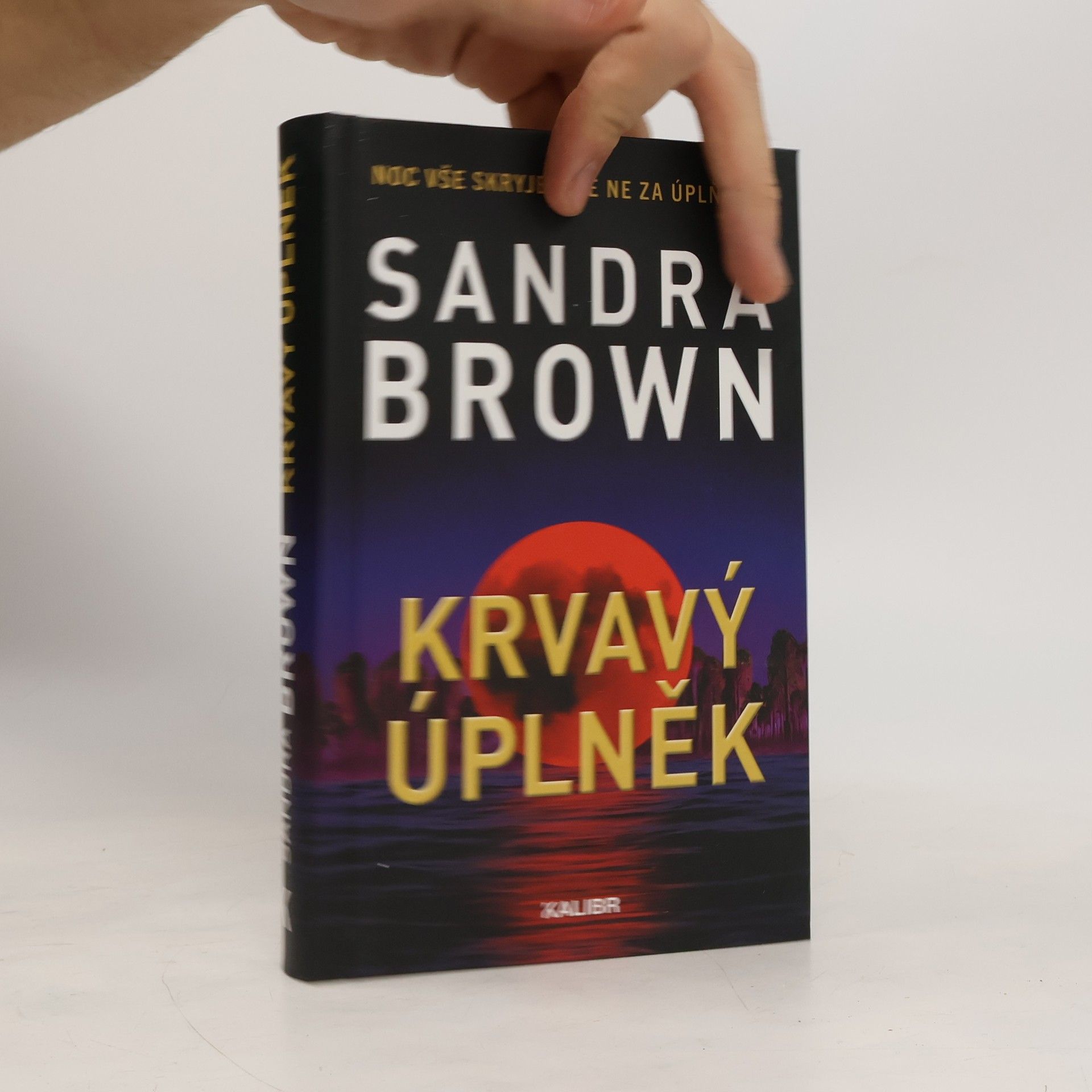Sandra Brown Krvavý úplněk