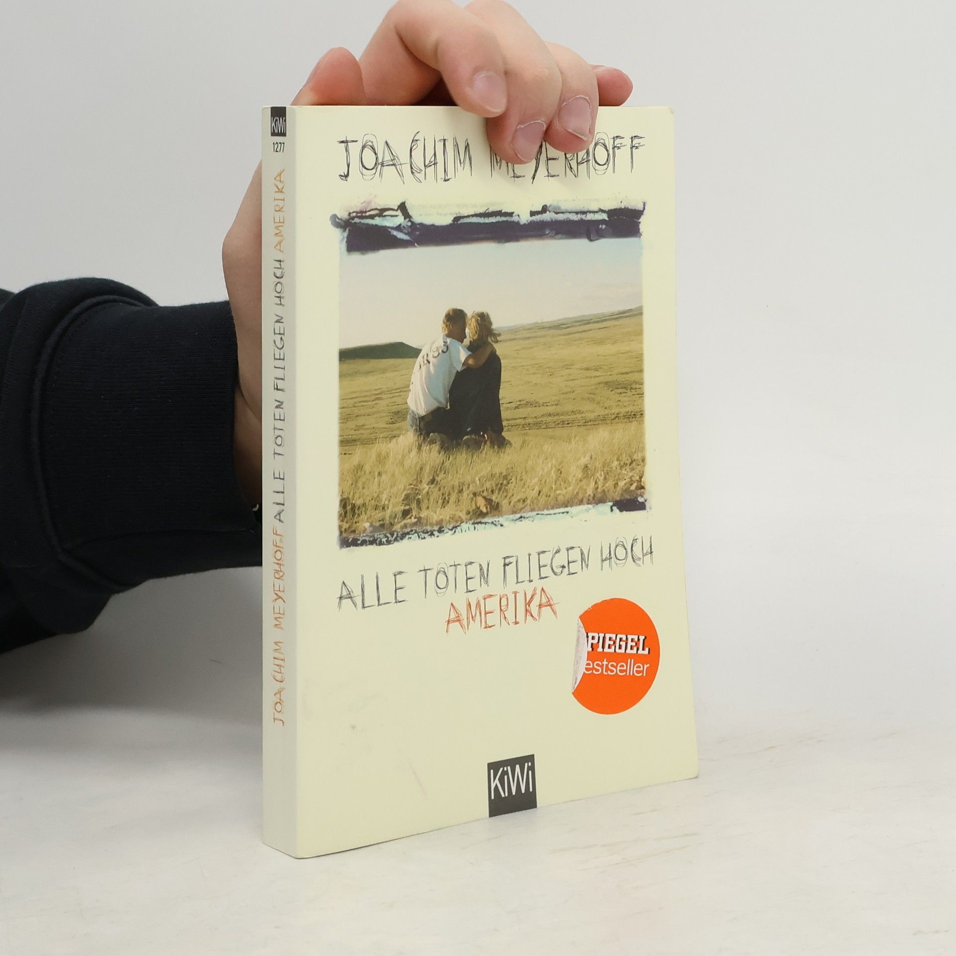 Alle Toten fliegen hoch. Roman Teil 1, Amerika