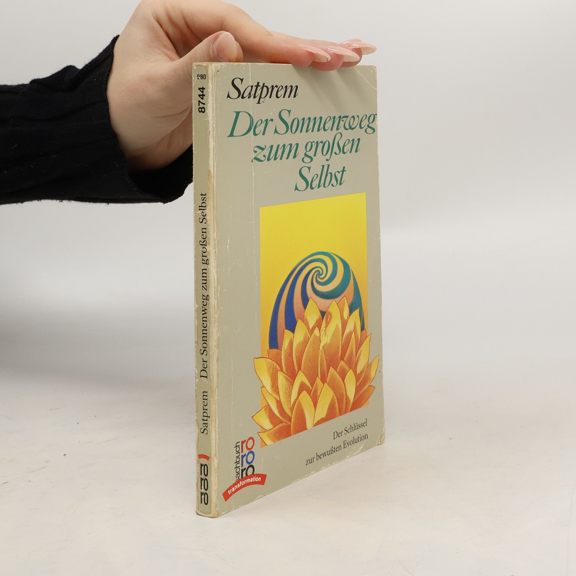 B Satprem Der Sonnenweg zum grossen Selbst