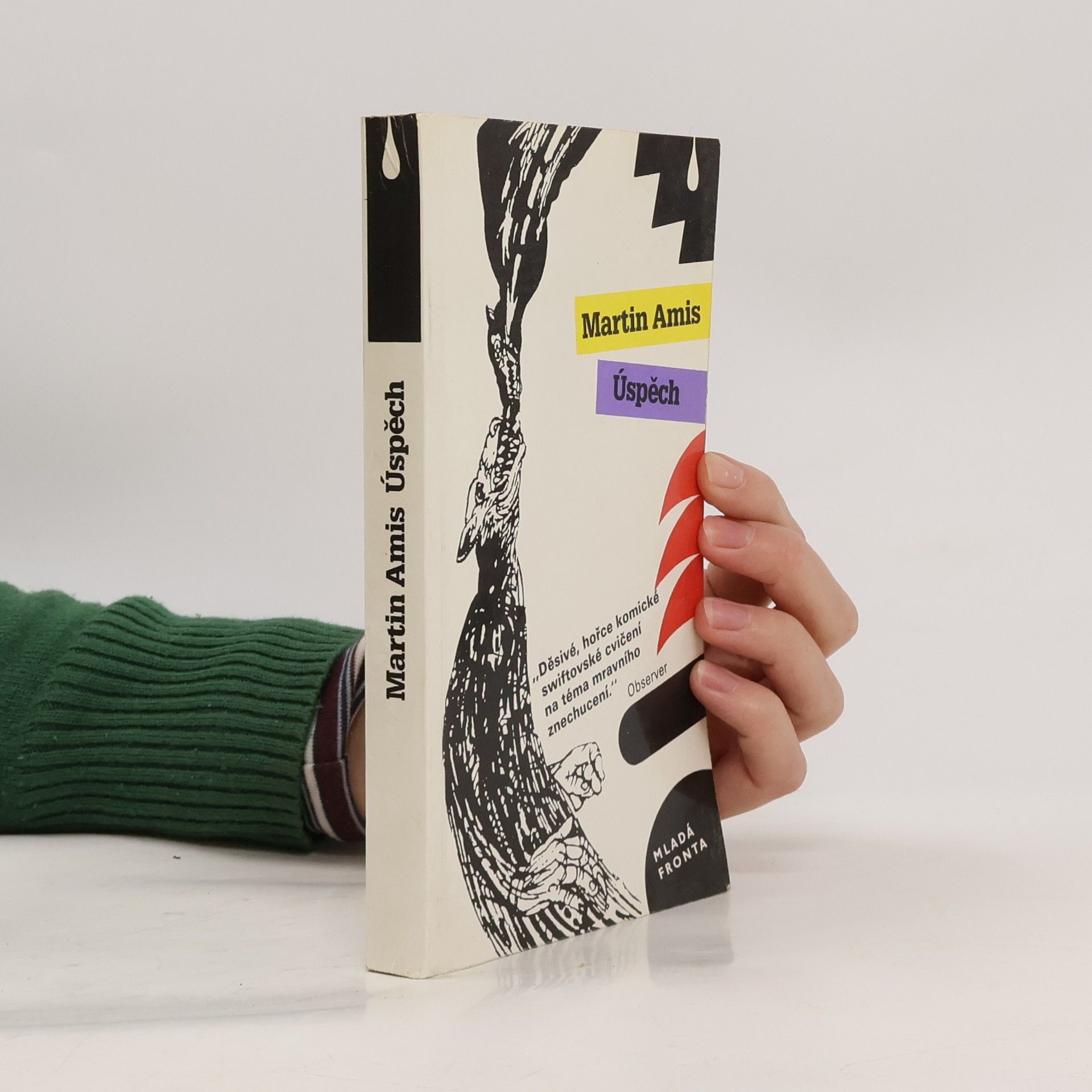 Martin Amis Úspěch