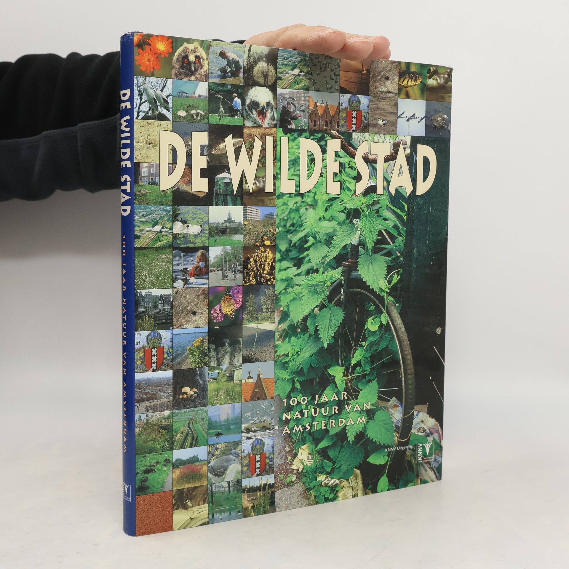 Henk van Halm De wilde stad