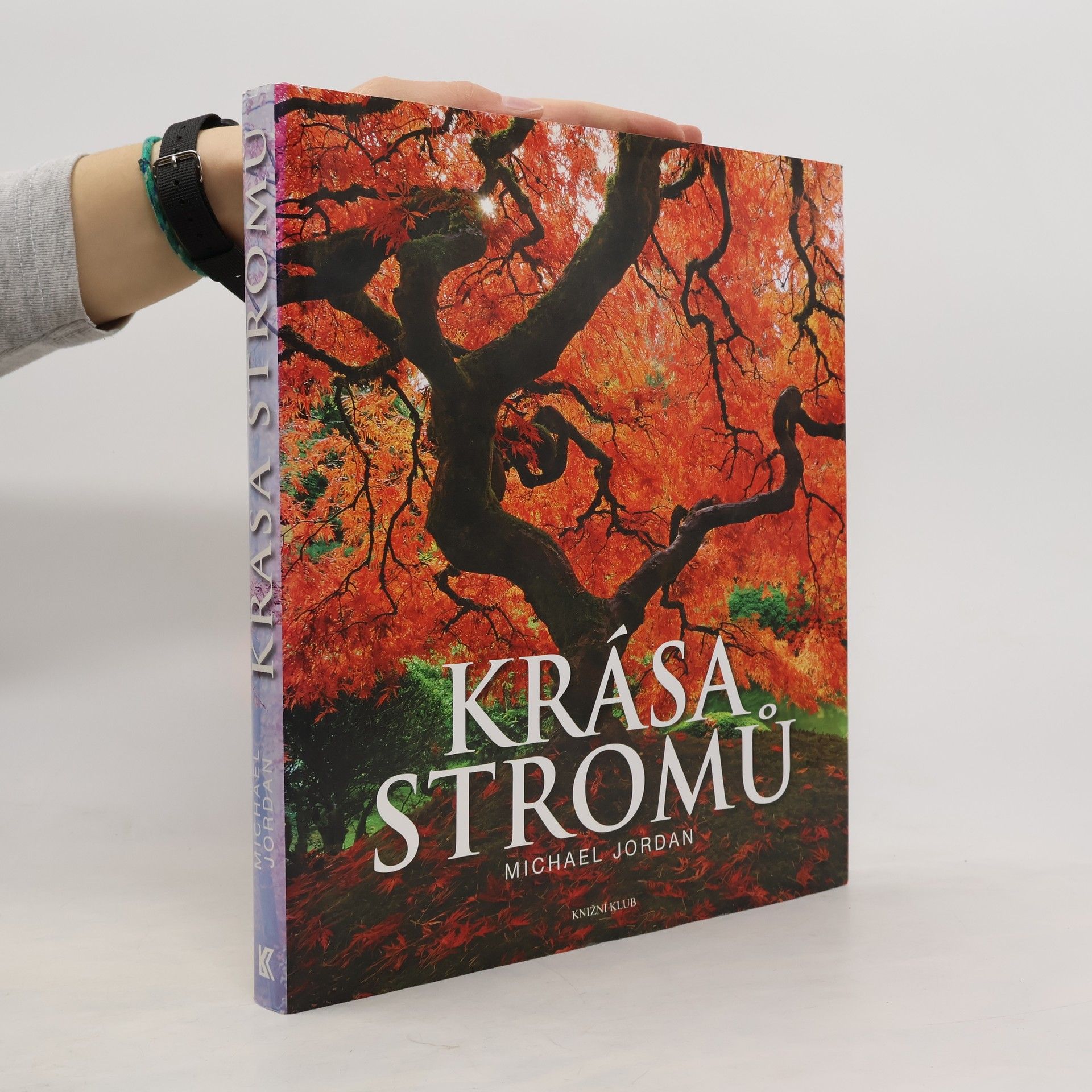 Michael Jordan Krása stromů