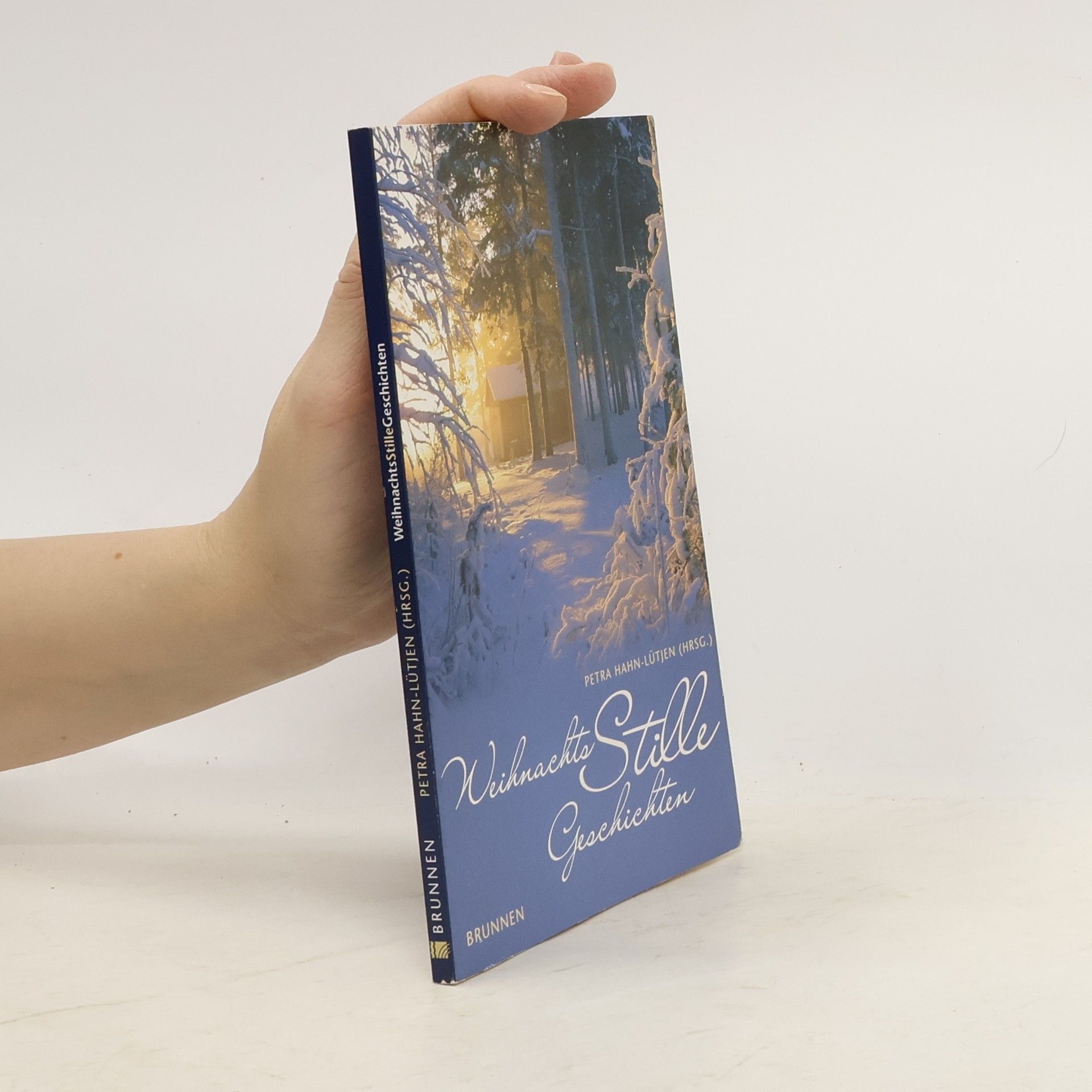 Petra Hahn-Lütjen WeihnachtsStilleGeschichten