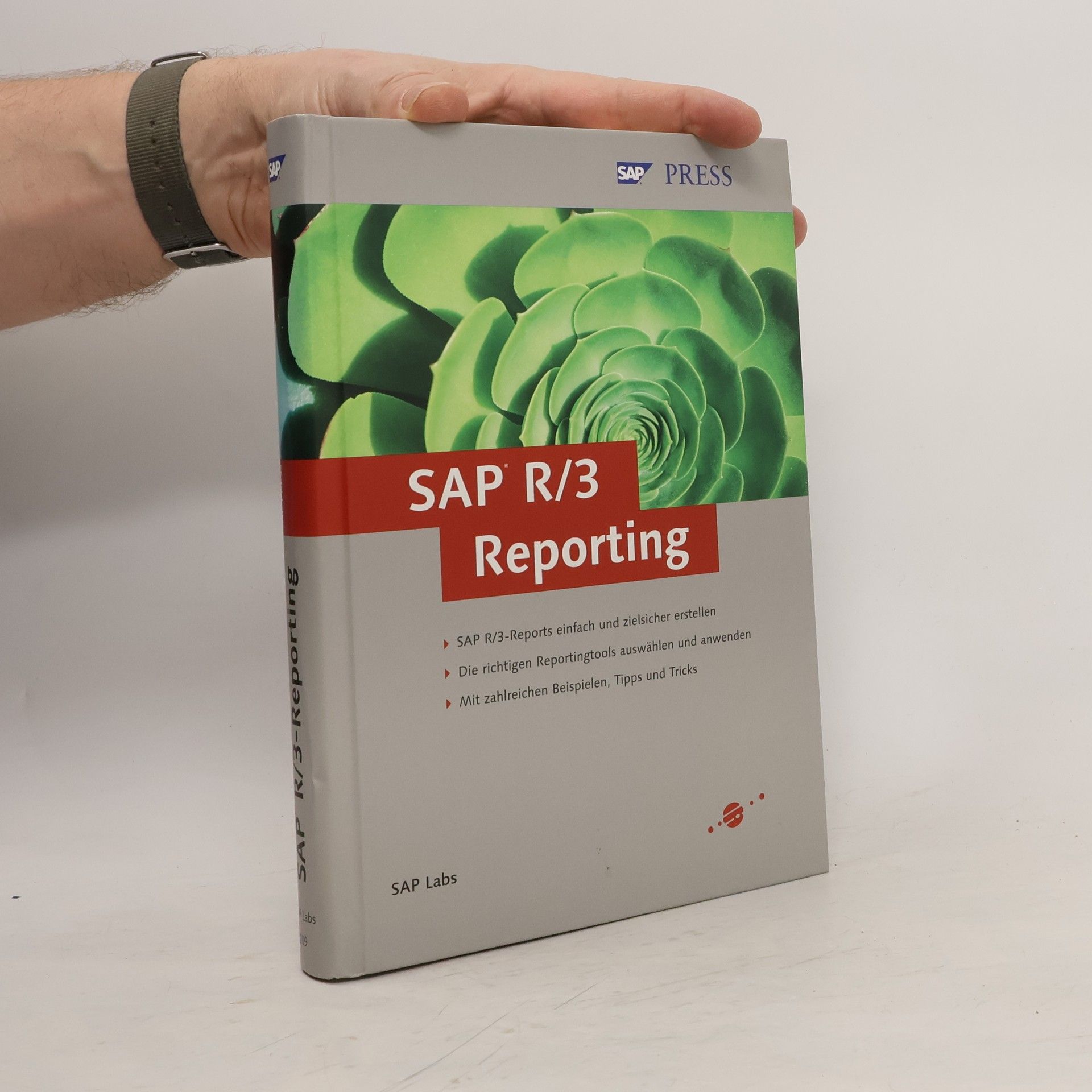 SAP Labs, Inc. SAP R/3 Reporting