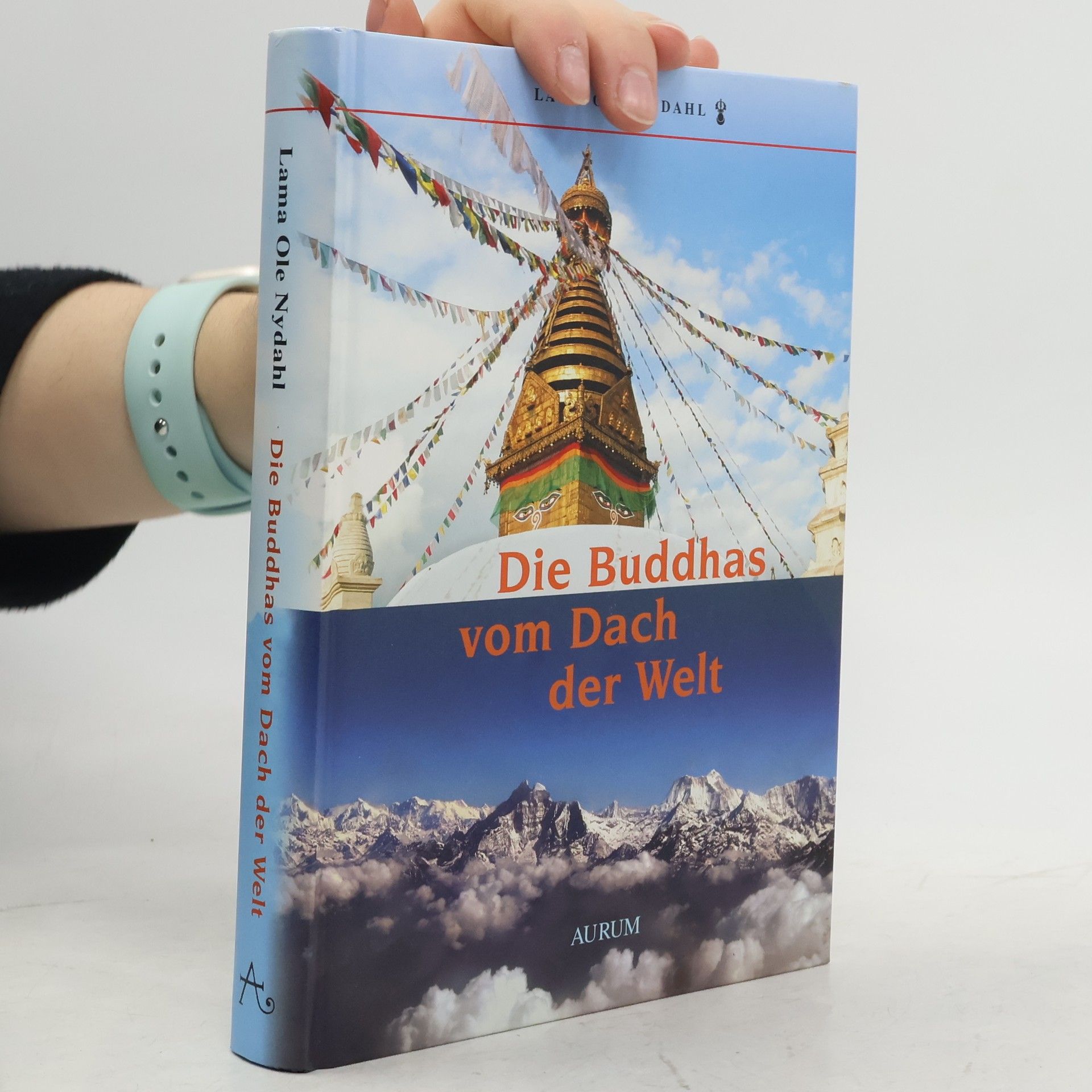 Die Buddhas vom Dach der Welt
