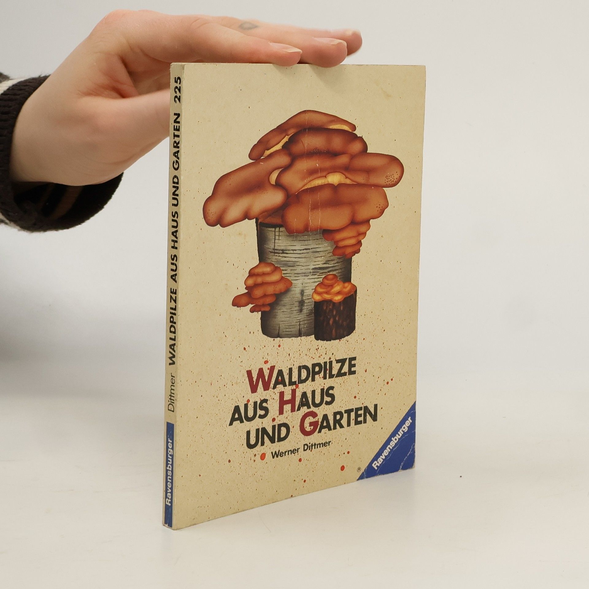 Werner Dittmer Waldpilze aus Haus und Garten