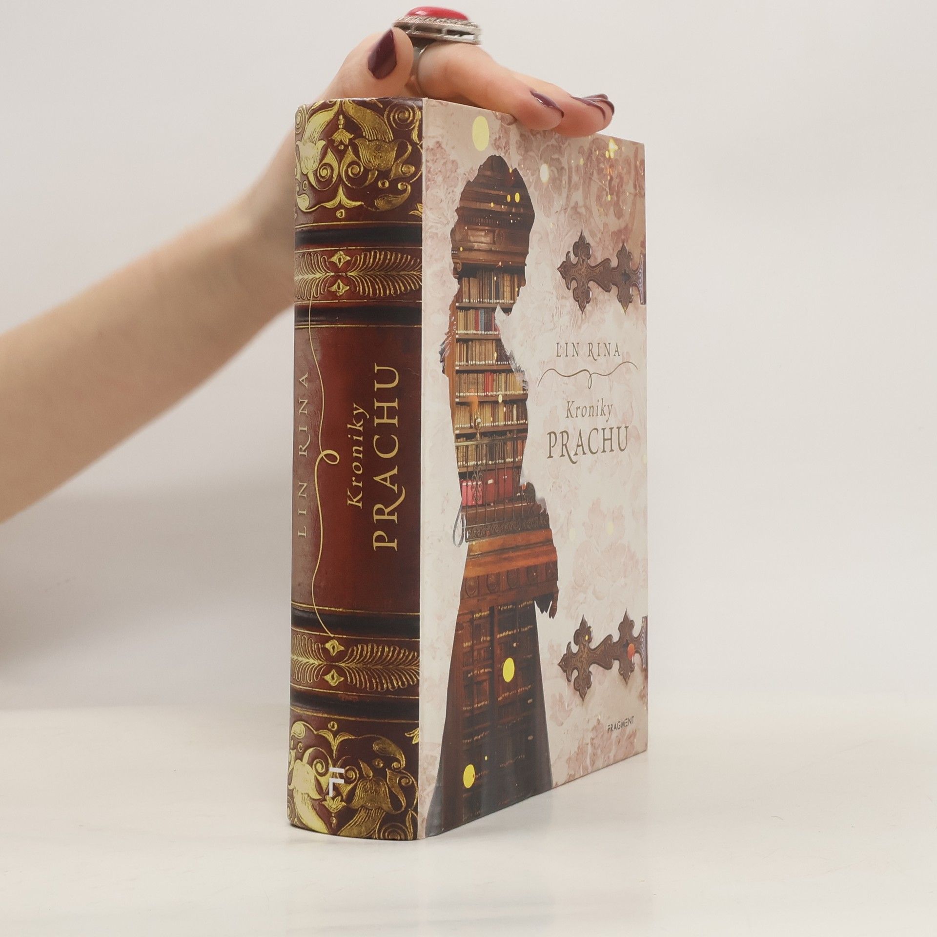 Lin Rina Kroniky prachu