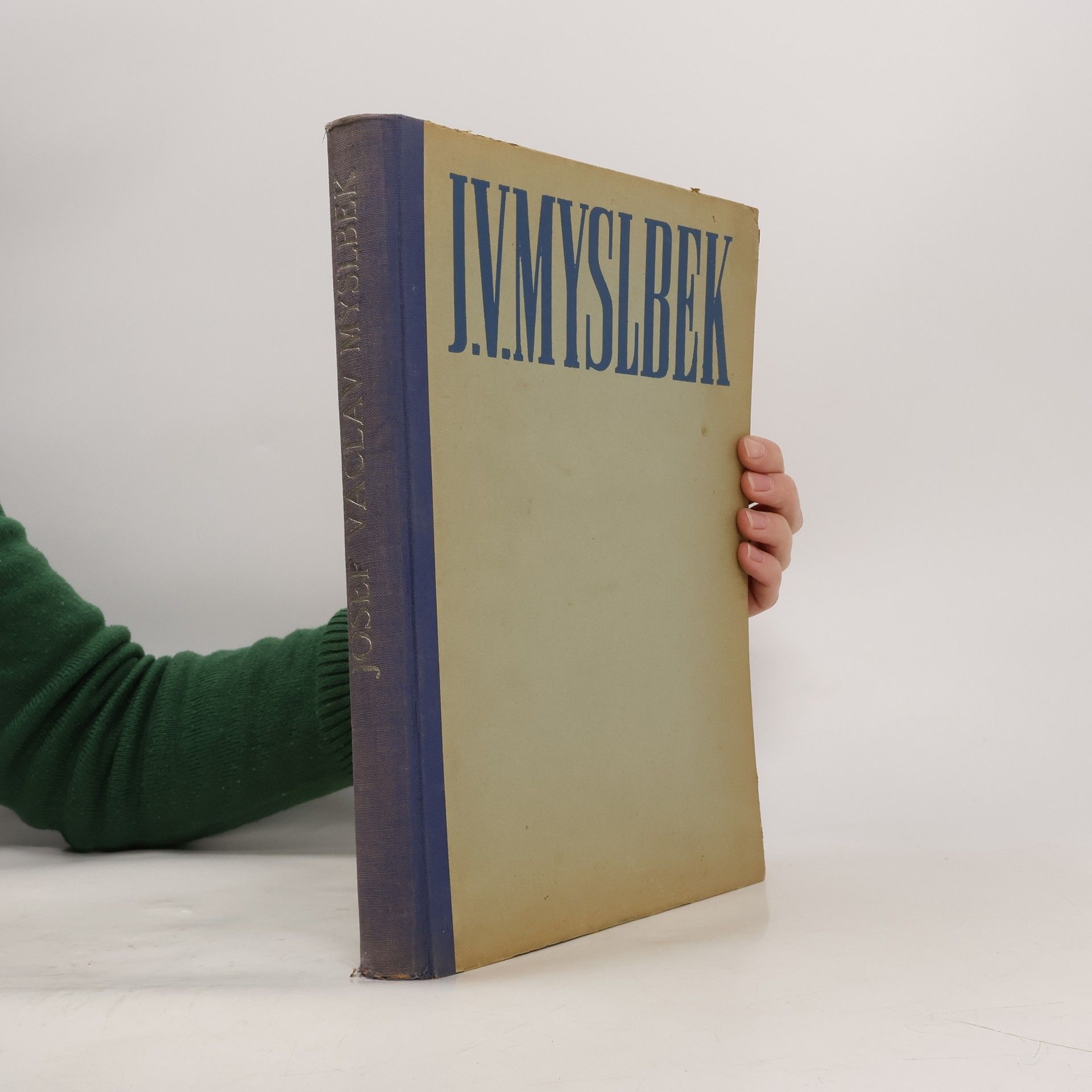 Vojtěch Volavka J. V. Myslbek