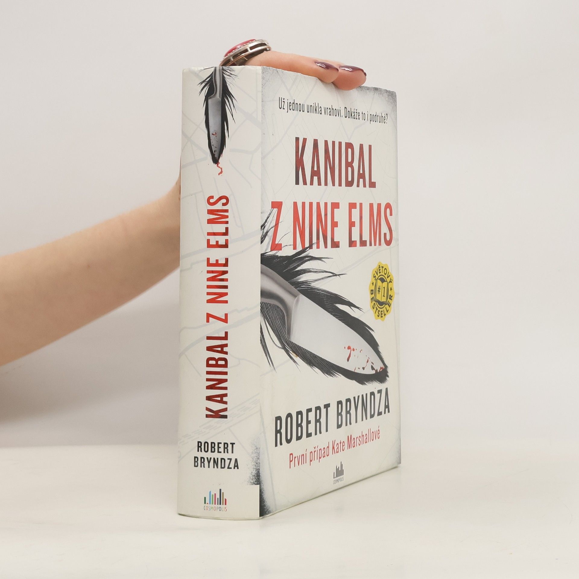 Robert Bryndza Kanibal z Nine Elms