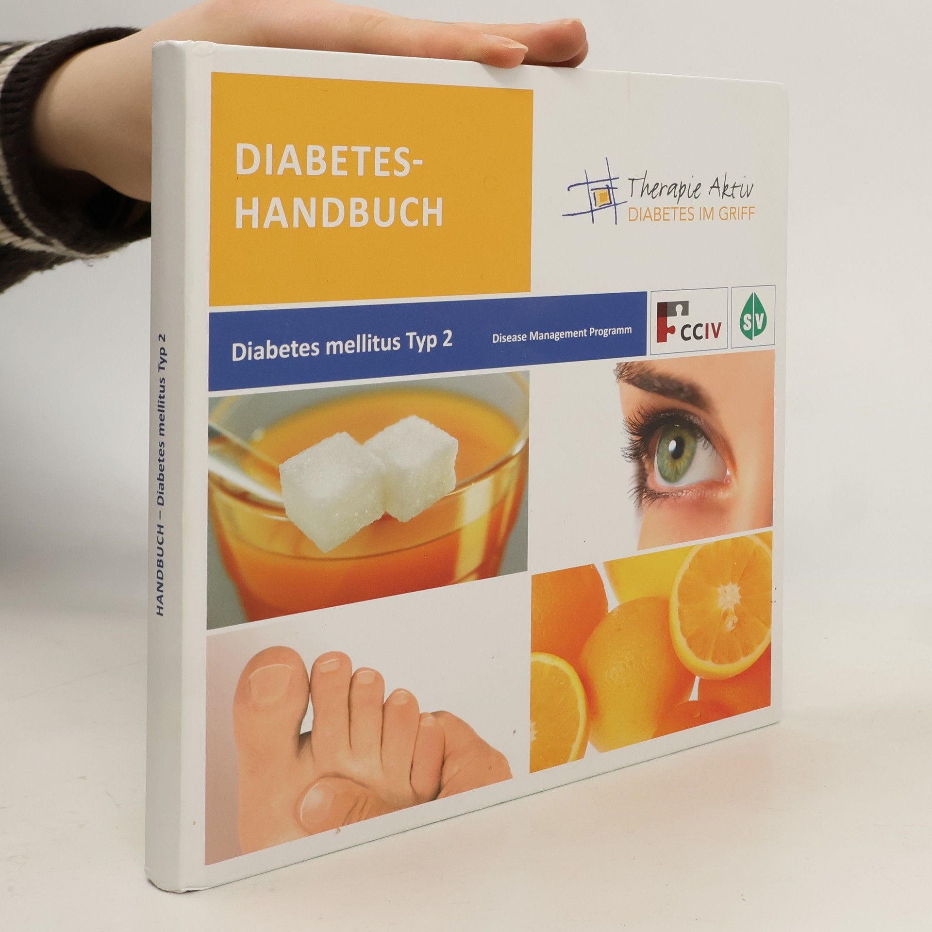 Autorenkollektiv Diabetes-Handbuch. Diabetes Mellitus Typ 2