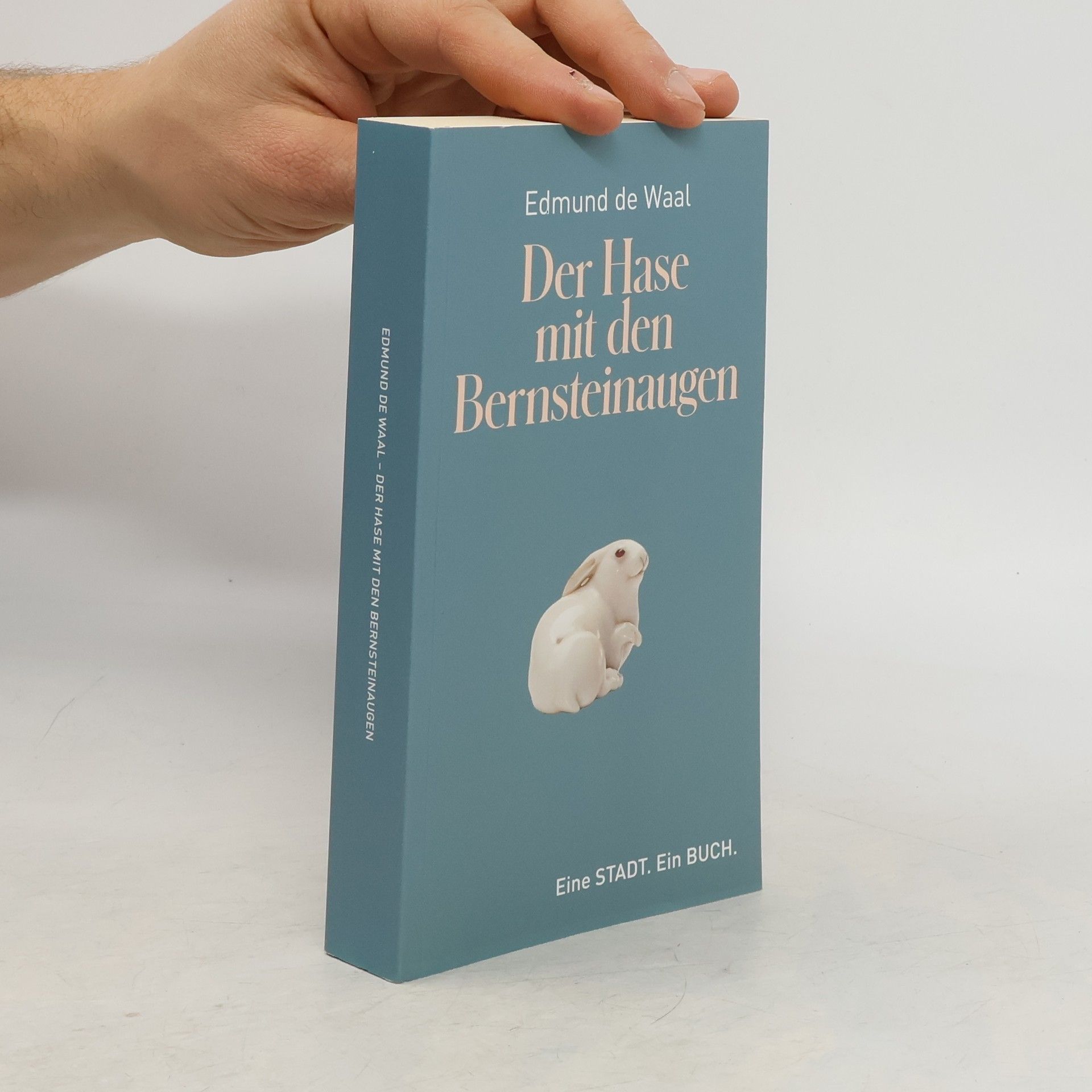 Edmund de Waal Der Hase mit den Bernsteinaugen