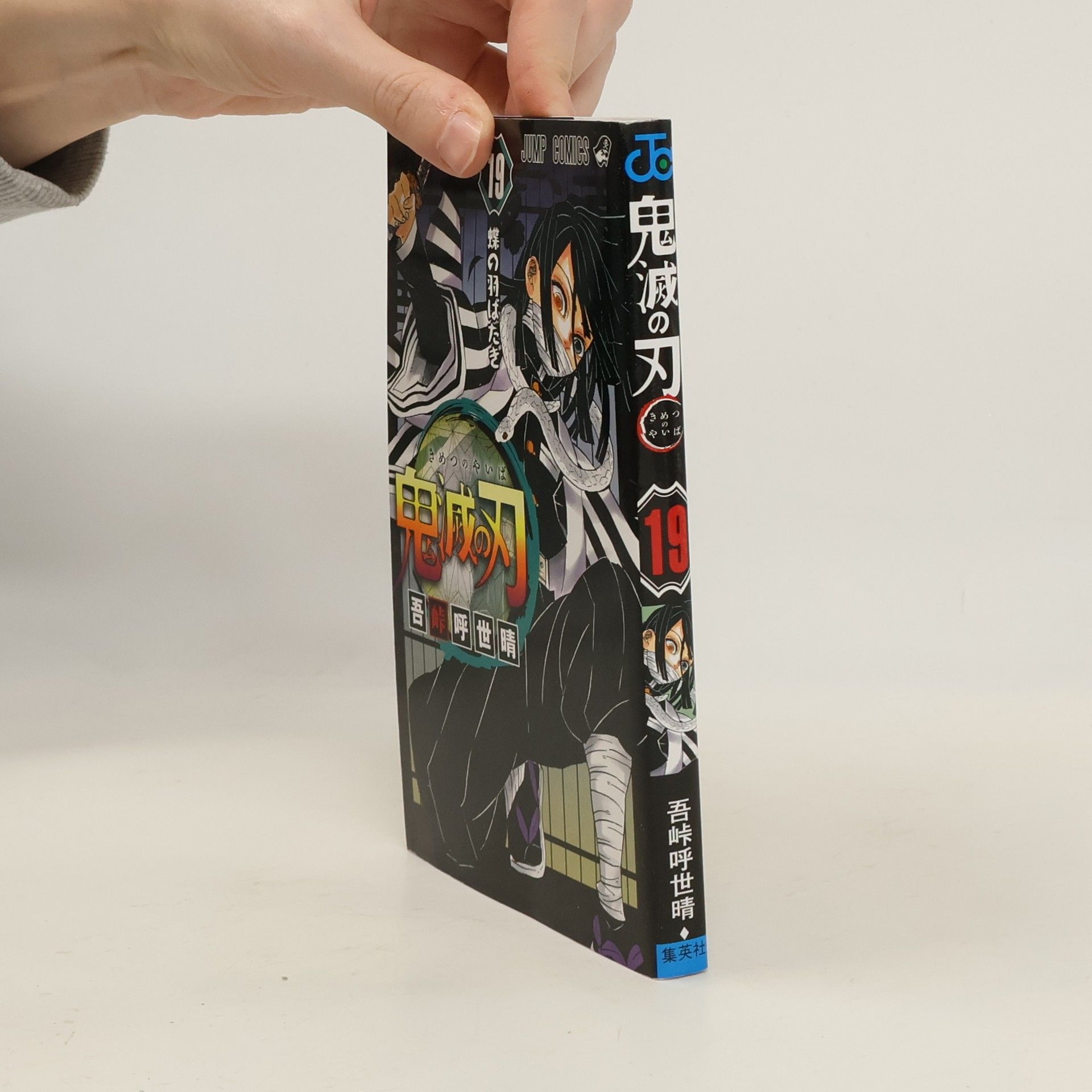 Koyoharu Gotōge 蝶の羽ばたき 19